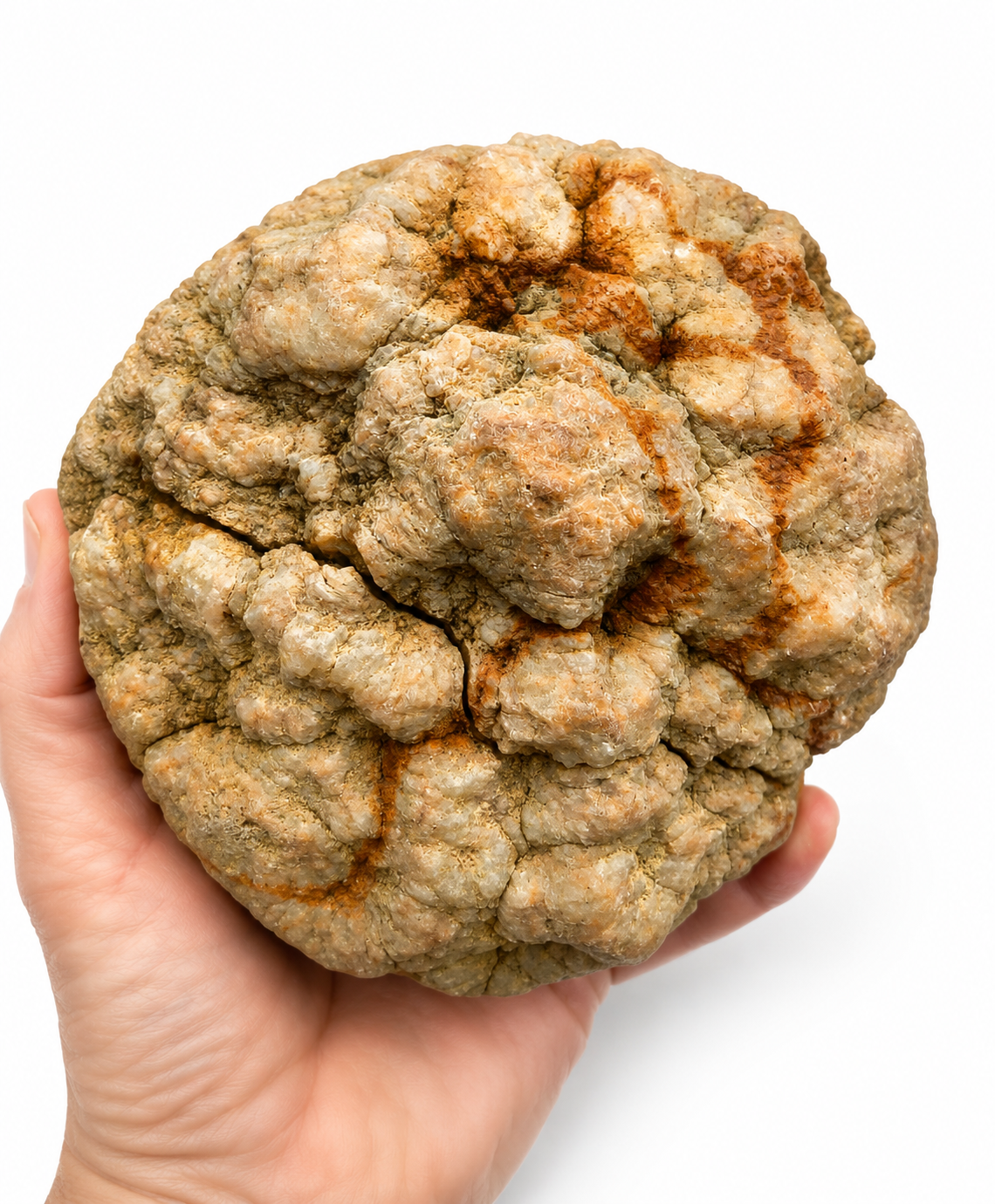 2lb 13oz Kentucky Geode Pair, Both Halves, Calcite Crystals, 4 Inch, Hand Collected – Fishing Creek, KY