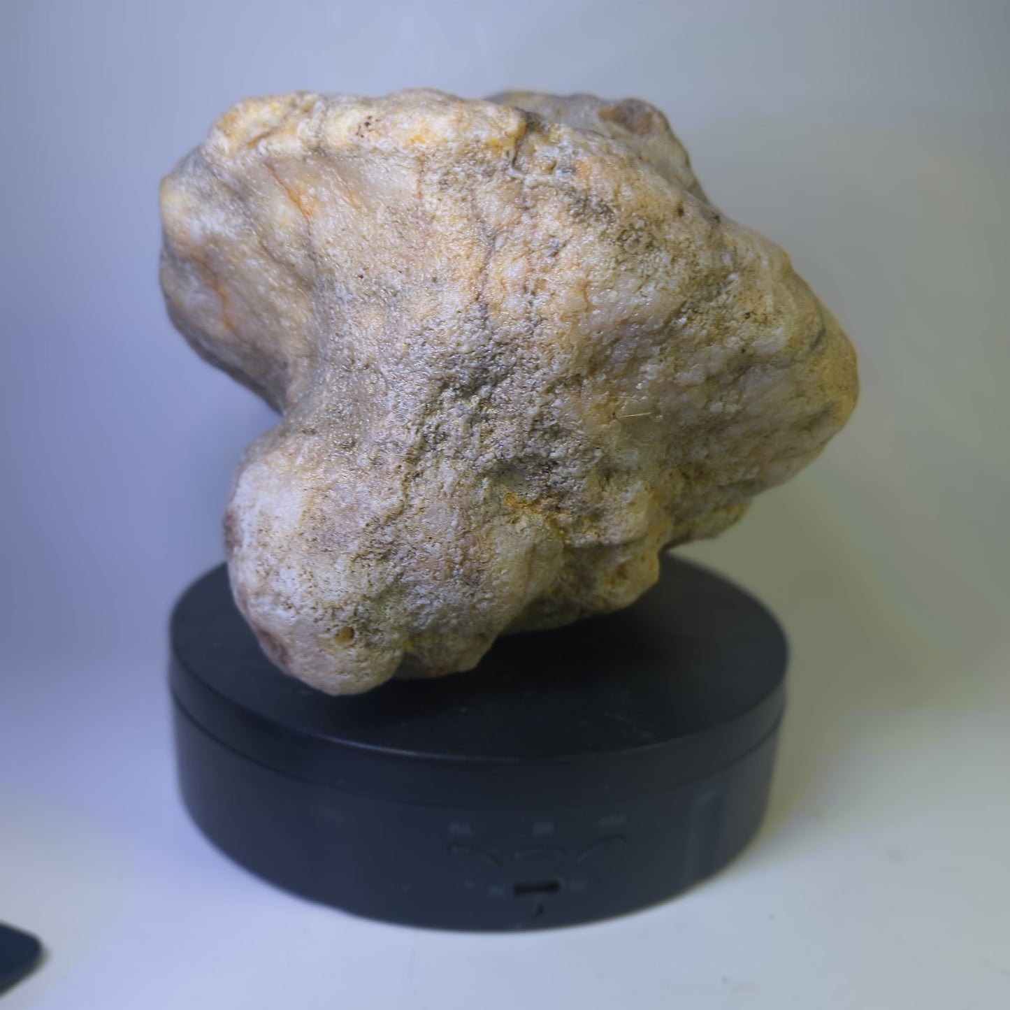 5.81 lb Kentucky Fossil Geode, Horn Coral Crinoid, 7.5 Inch, Hand Picked KY Natural – Fishing Creek, KY