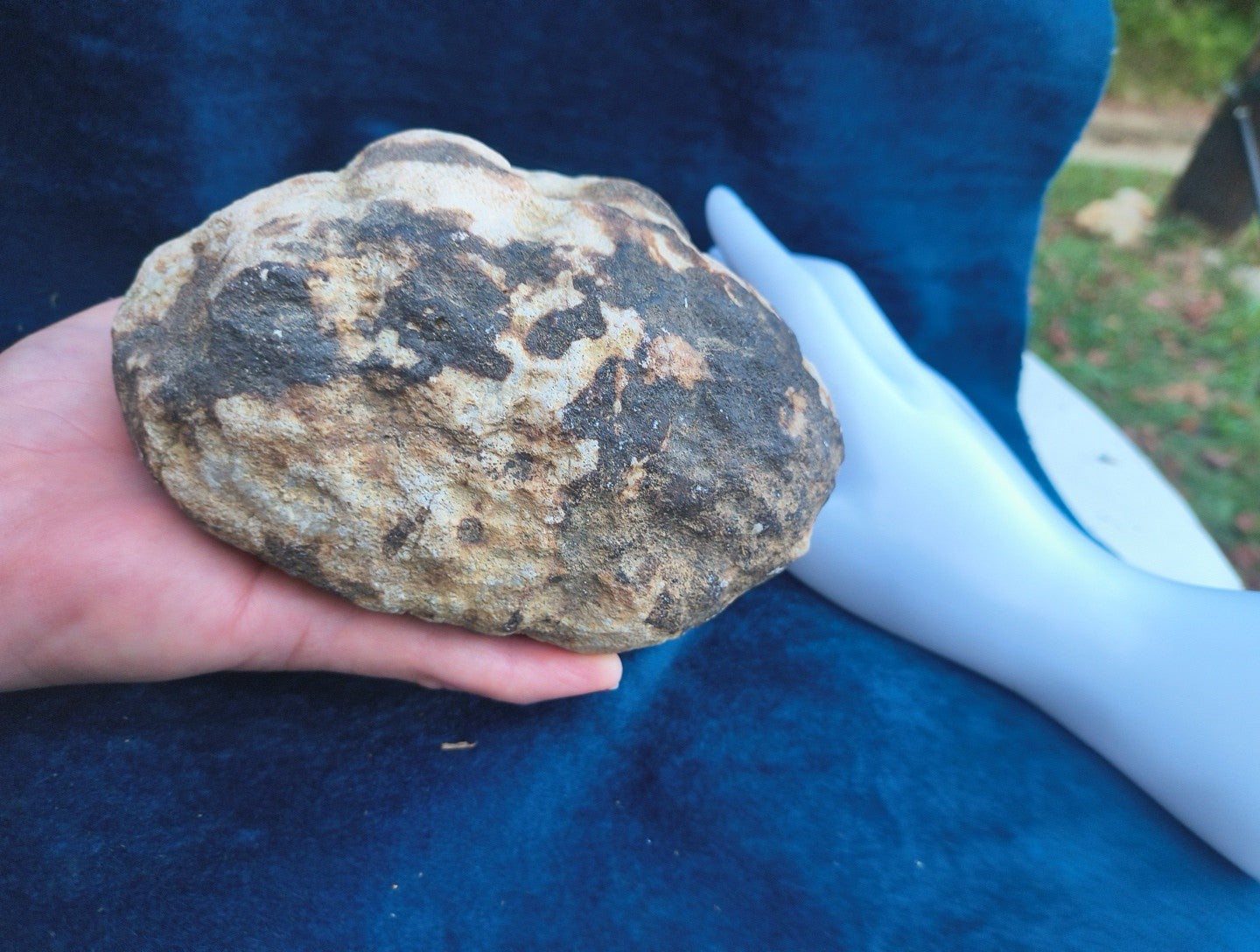 2+ lb Large Unopened Kentucky Geode, 3-5 Inch, Break Your Own Quartz Crystal – Fishing Creek, KY
