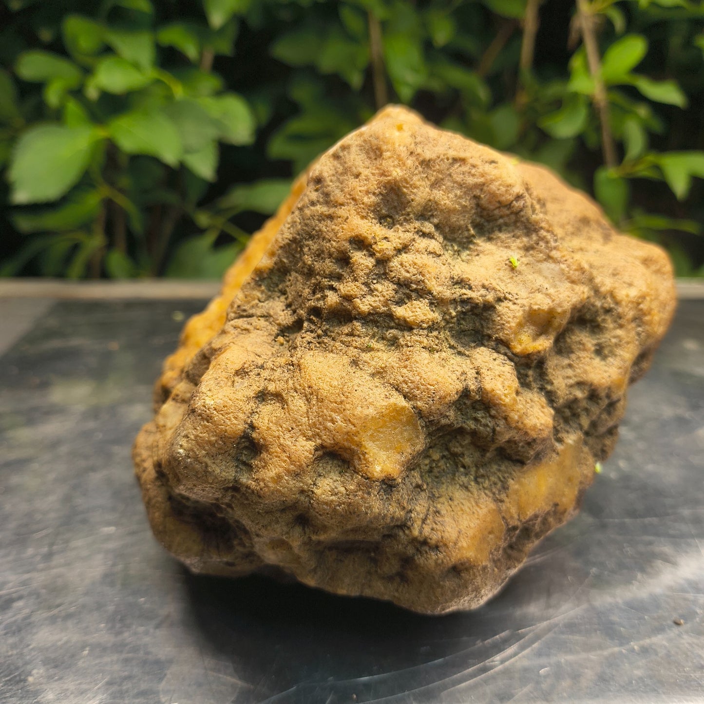Kentucky Crystal Geode, Natural Druzy Quartz Geode, 4.53 lb Educational Specimen – Fishing Creek, KY