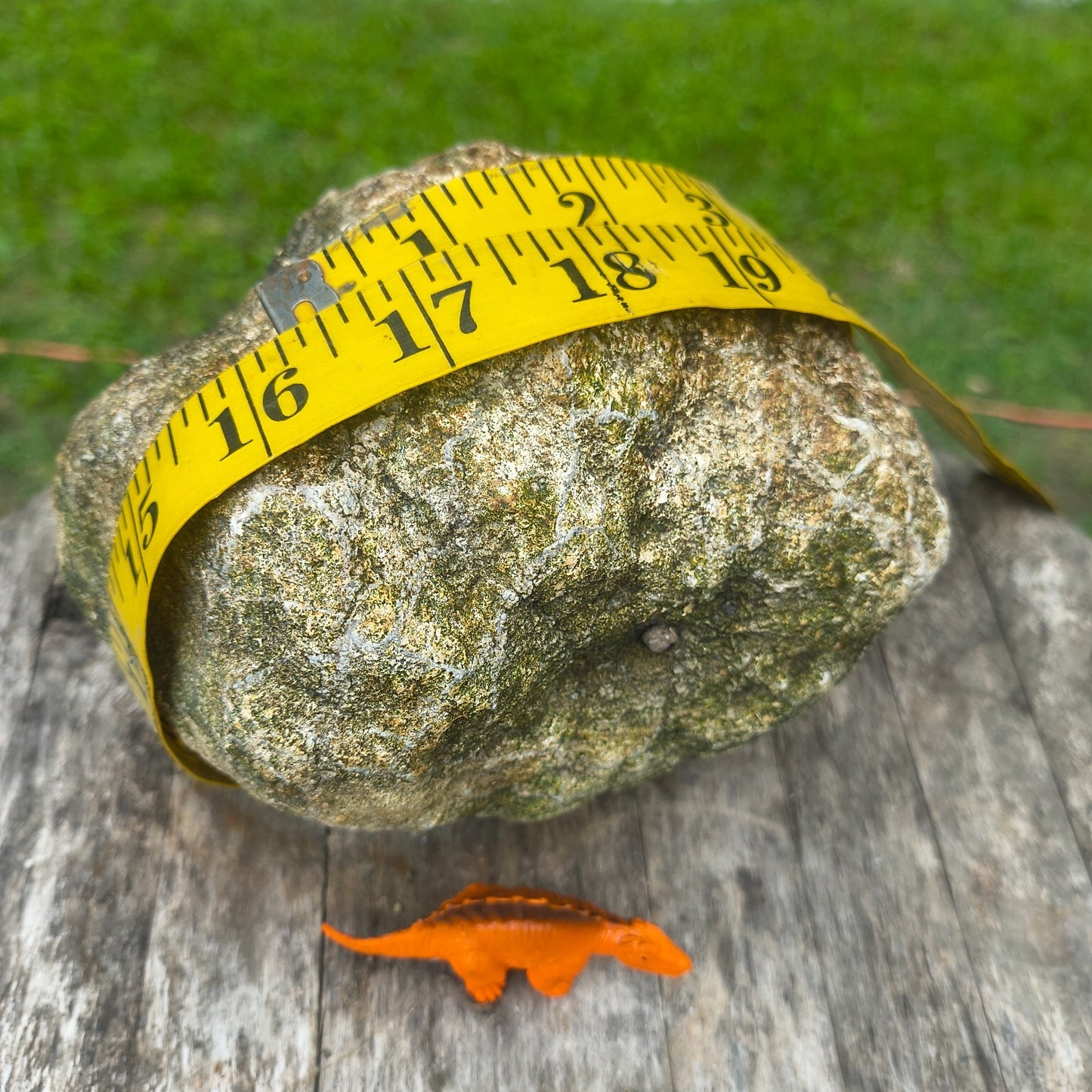 Unopened Kentucky Geode — 5.25 lb, 5.5" Wide Rounded Nodule, Crack Your Own