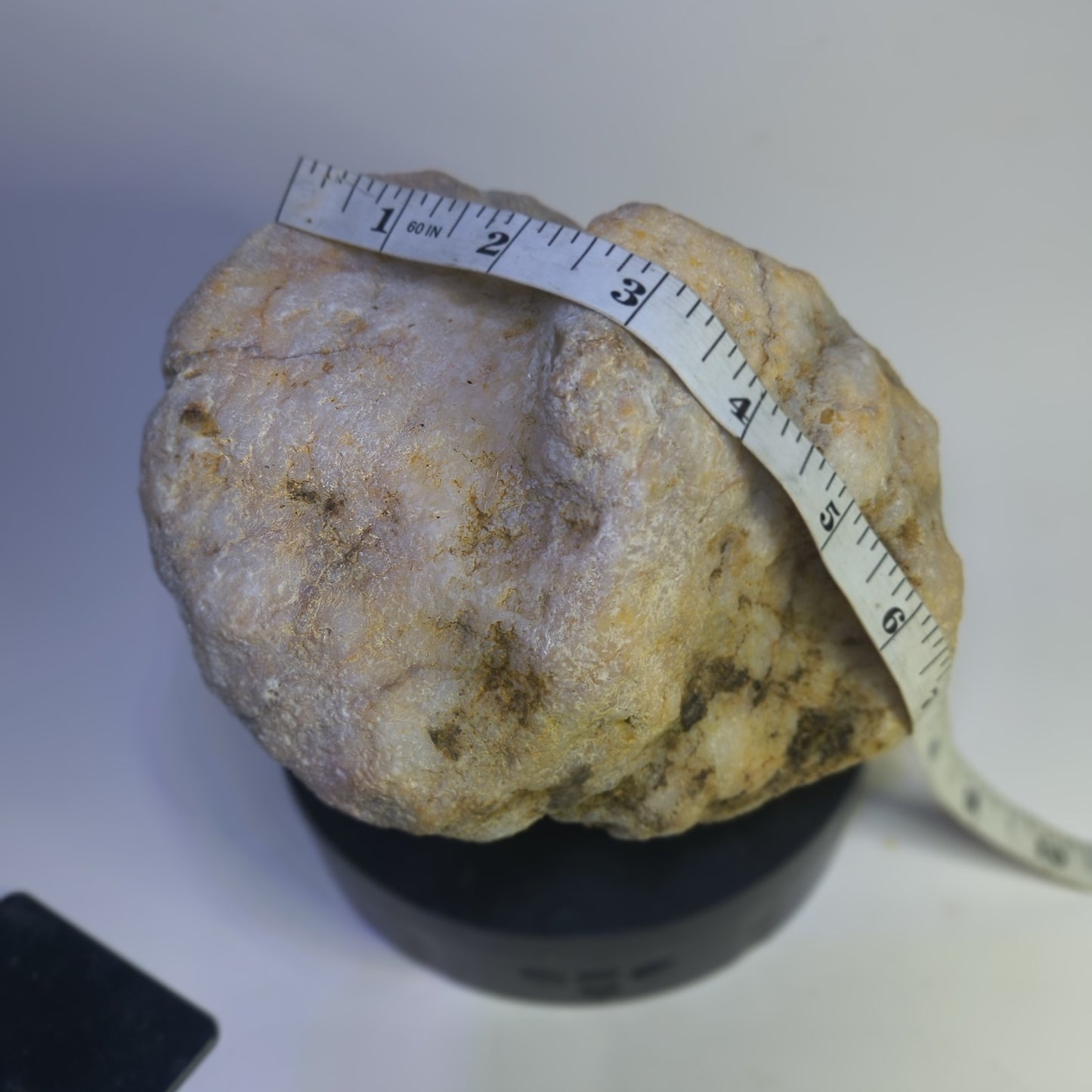 5.81 lb Kentucky Fossil Geode, Horn Coral Crinoid, 7.5 Inch, Hand Picked KY Natural – Fishing Creek, KY