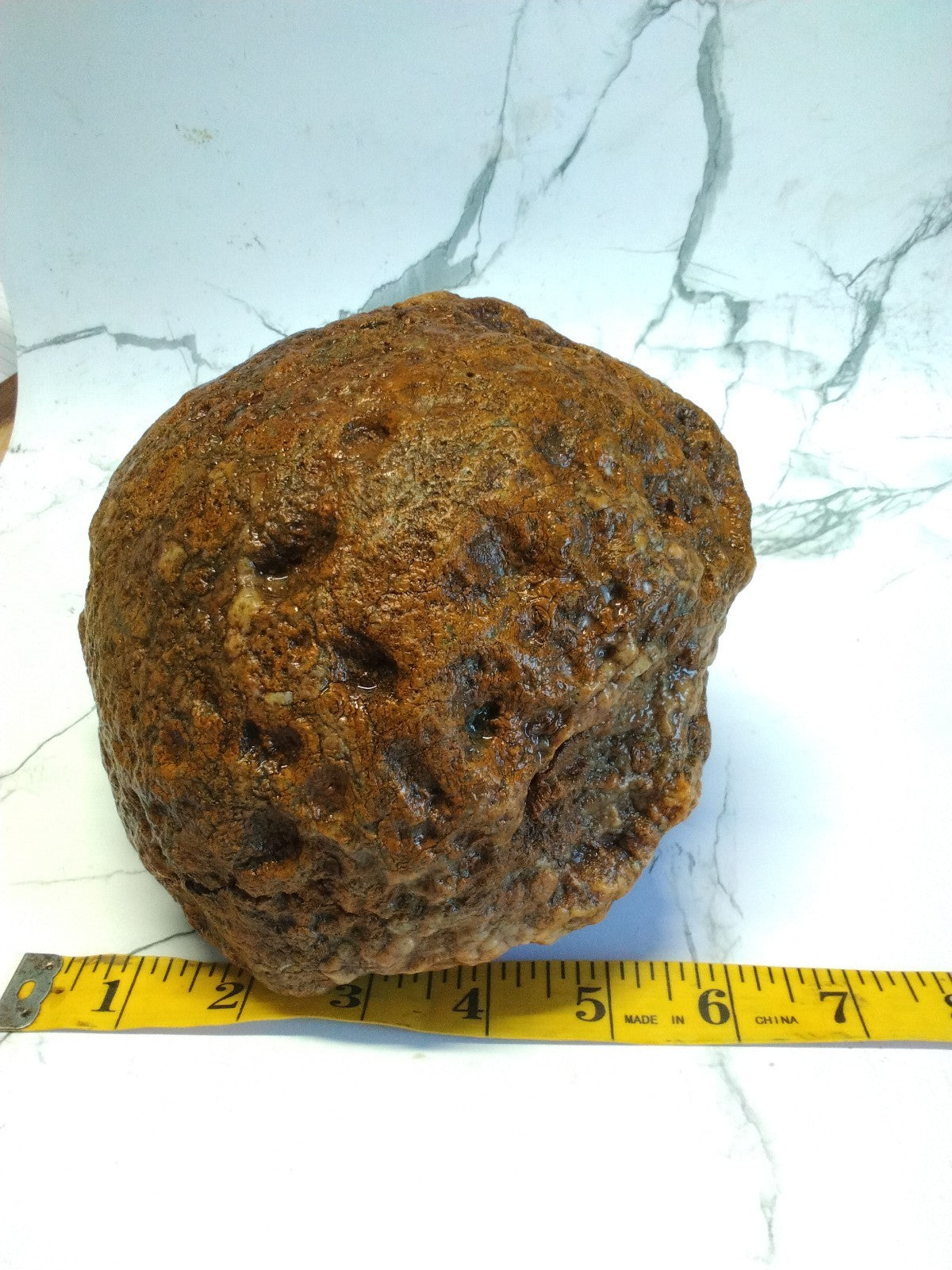Huge 7 Inch Unopened Kentucky Geode, 6.8lb Natural Quartz Crystal Nodule, Uncut Stone – Fishing Creek, KY