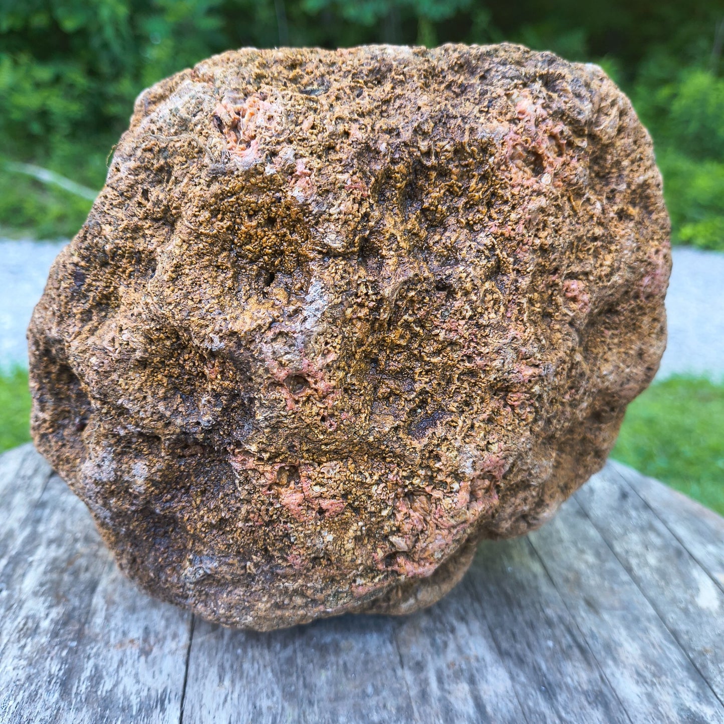 10.13 lb Kentucky Geode, Unopened, Natural Crystal Geode + Bonus – Hand-Collected at Fishing Creek, KY