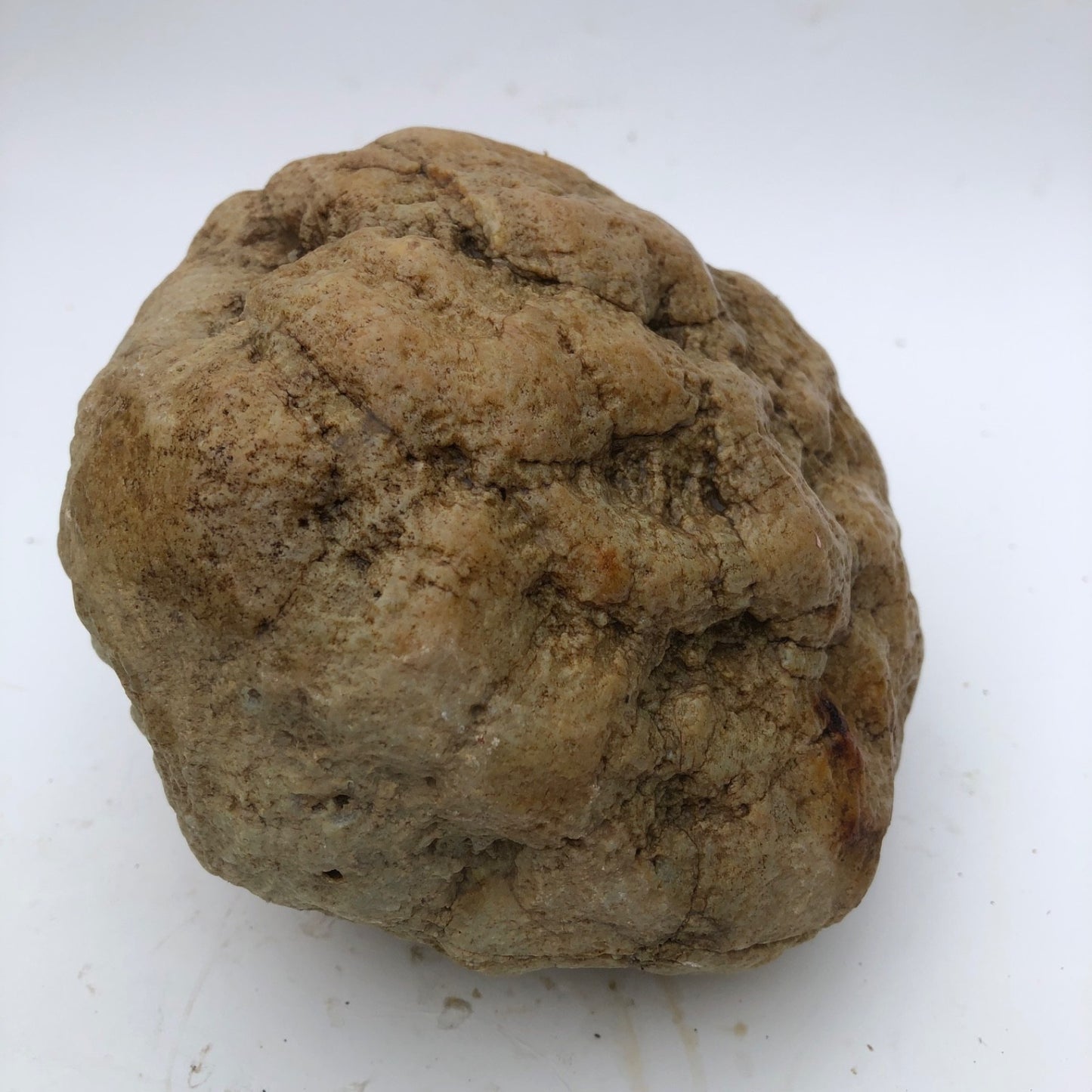 3.68 lb Open Face Kentucky Geode, Chalcedony Botryoidal Quartz, Exact Specimen – Fishing Creek, KY