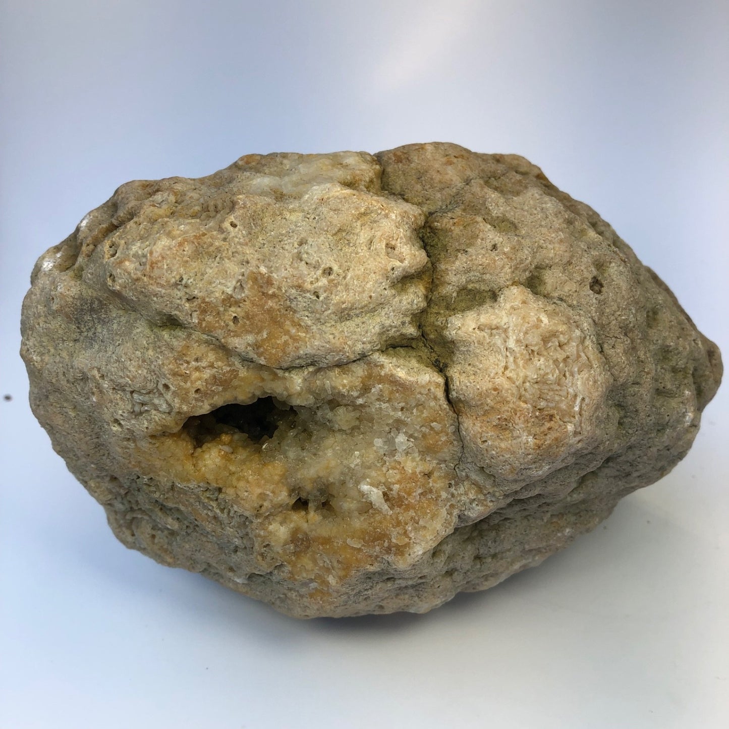 7.04 lb Natural Kentucky Geode, Whole Crystal Lined Open Pocket Display Specimen – Fishing Creek, KY