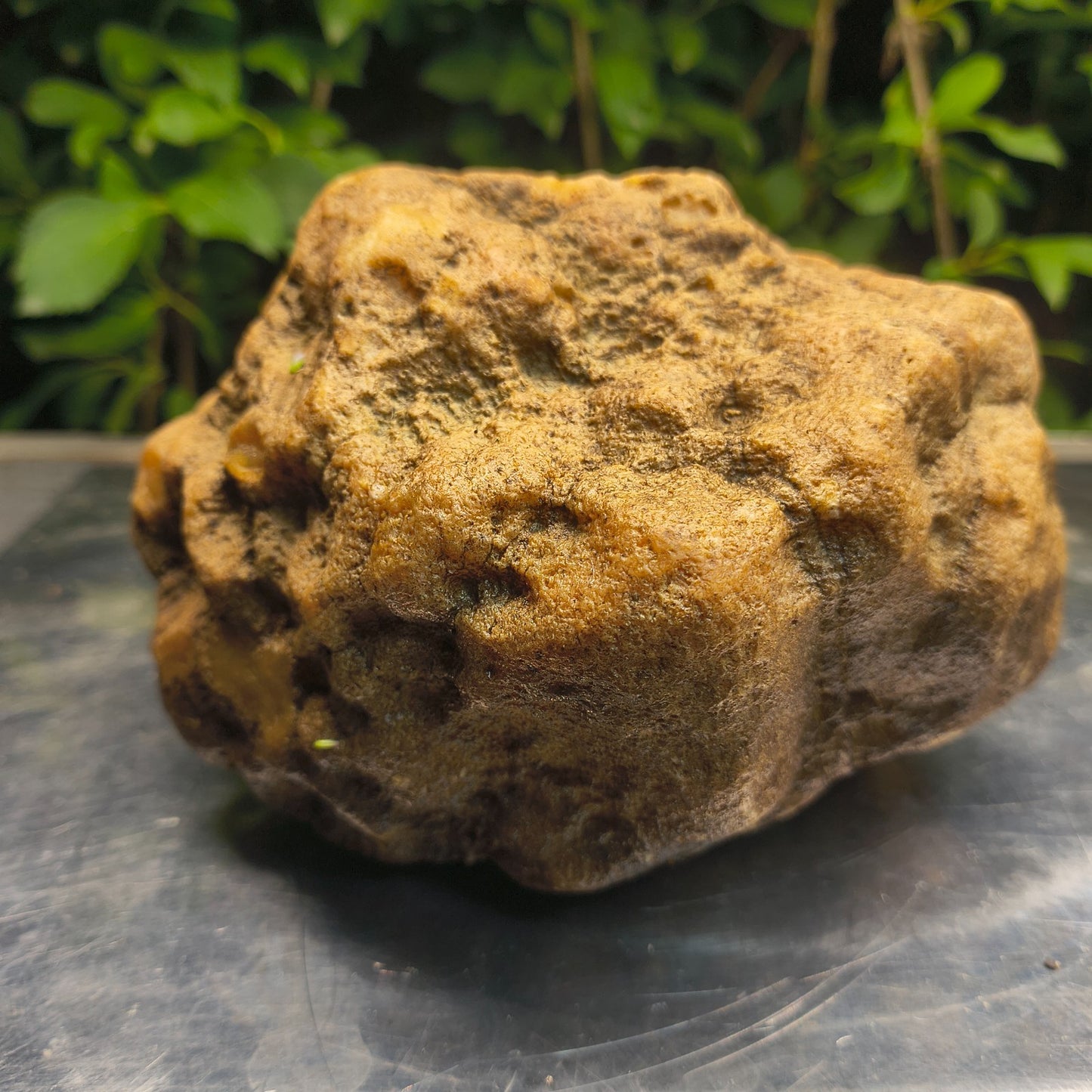 Kentucky Crystal Geode, Natural Druzy Quartz Geode, 4.53 lb Educational Specimen – Fishing Creek, KY