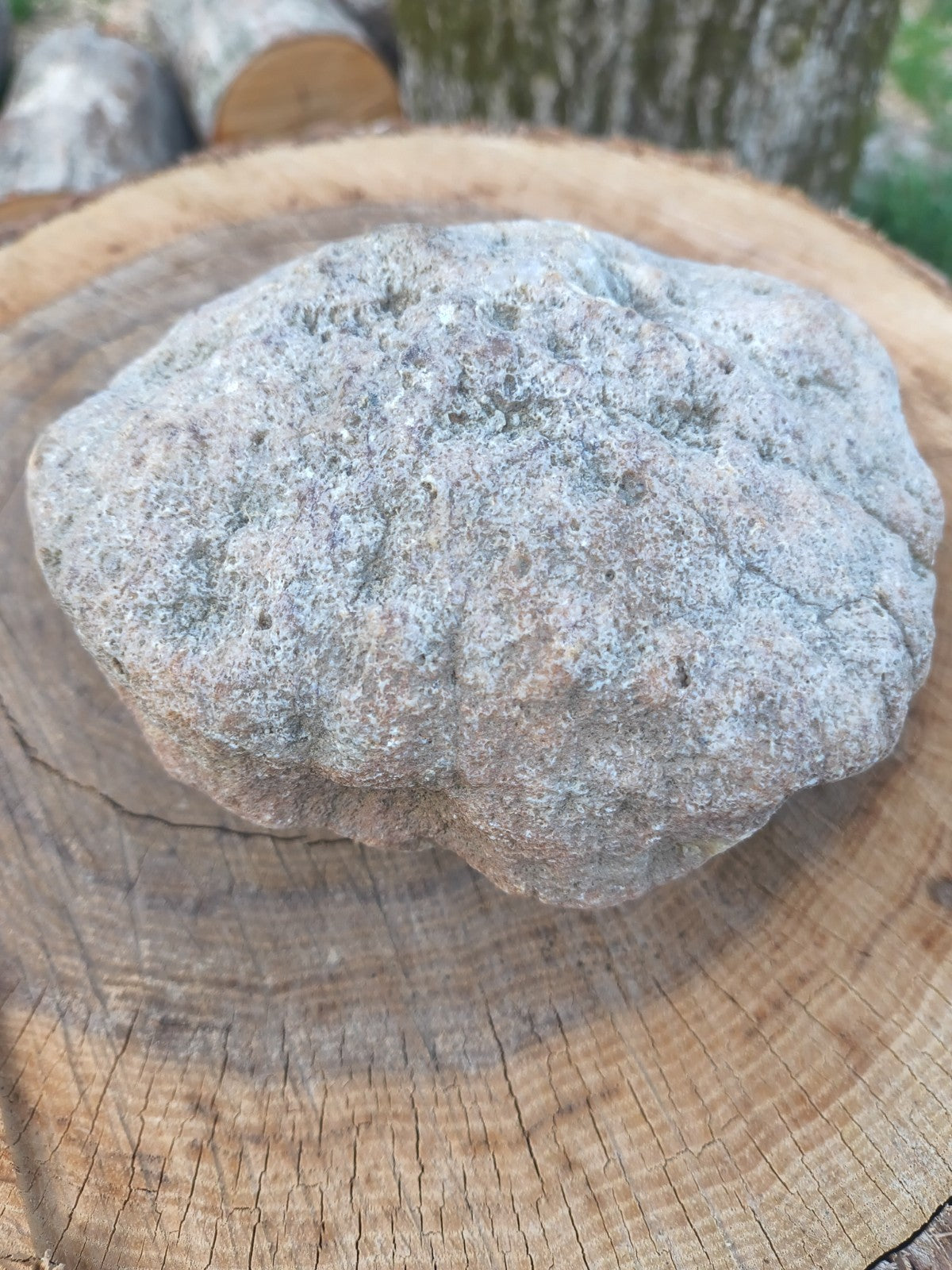 Exact Kentucky Rattler Geode, 4.09 lb Natural Unopened Crystal Geode – Fishing Creek, KY