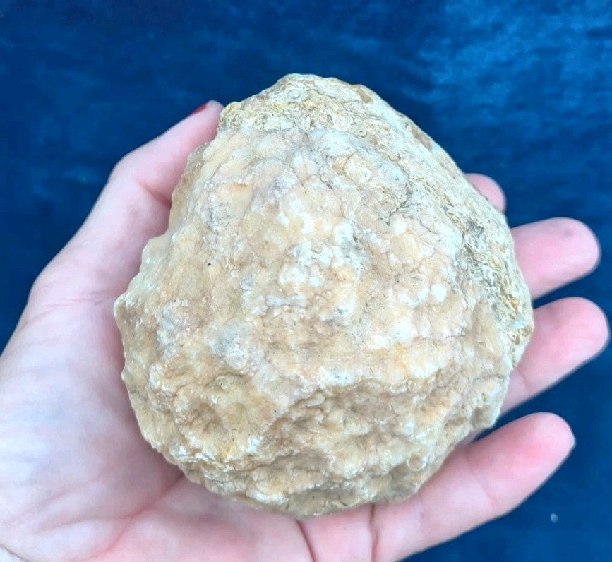 2+ lb Large Unopened Kentucky Geode, 3-5 Inch, Break Your Own Quartz Crystal – Fishing Creek, KY