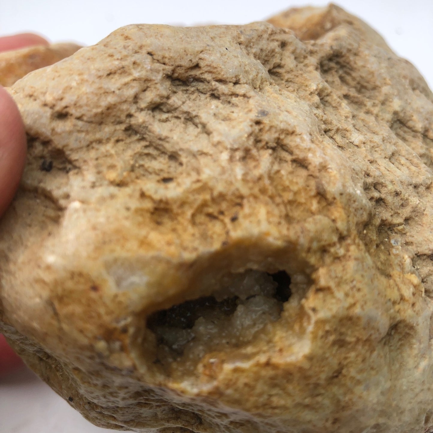 3.68 lb Open Face Kentucky Geode, Chalcedony Botryoidal Quartz, Exact Specimen – Fishing Creek, KY
