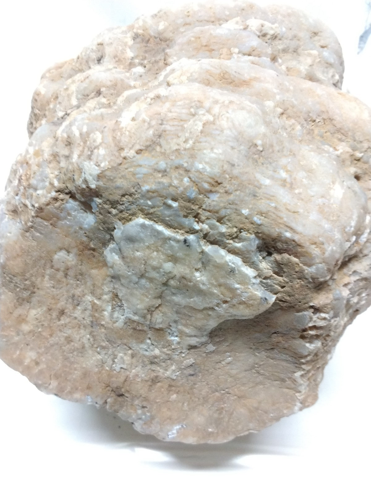 Kentucky Whole Geode, Natural Unopened Crystal Nodule, 7.74 lb, Exact Stone – Fishing Creek, KY