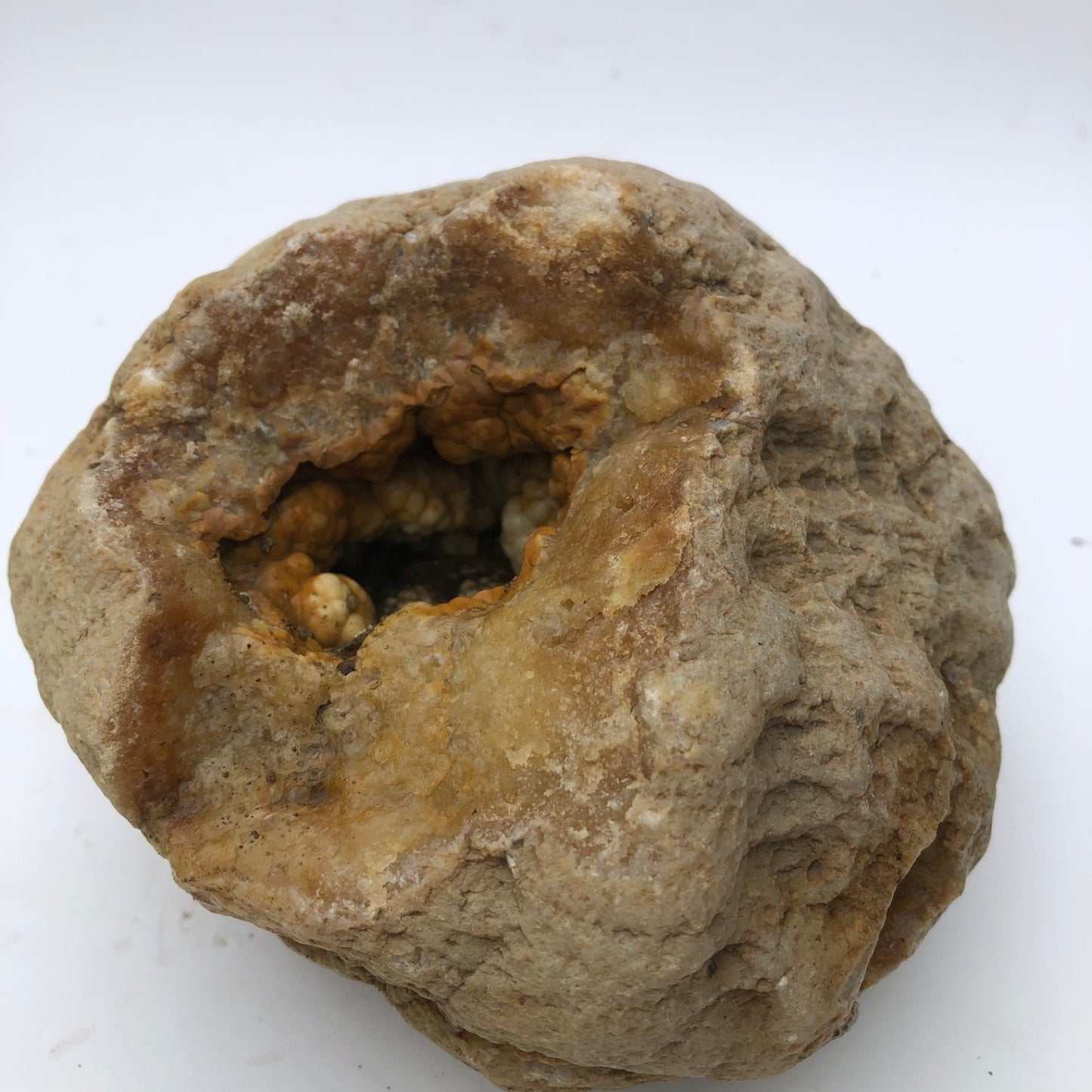 3.68 lb Open Face Kentucky Geode, Chalcedony Botryoidal Quartz, Exact Specimen – Fishing Creek, KY