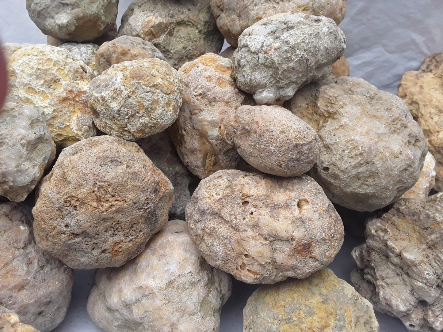 3 lb Unopened Kentucky Geode Lot, Break Your Own, Hand Picked KY Natural Crystals – Fishing Creek, KY