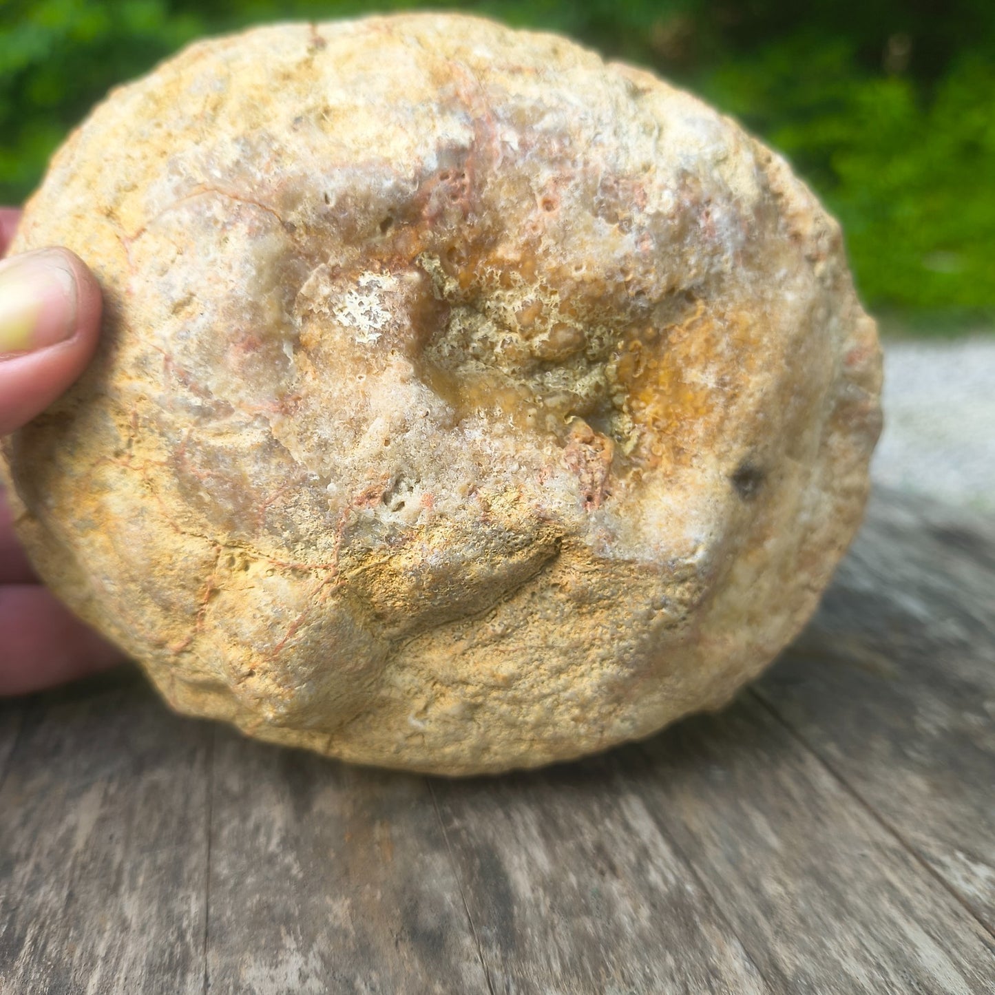 3.25 lb Kentucky Geode, Unopened Exact Specimen, Natural Whole Geode – Fishing Creek, KY
