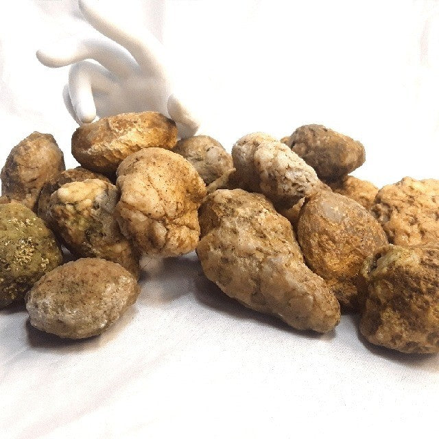 10 lb Lot Unopened Kentucky Geodes, Break Your Own, Hand Picked KY Natural Quartz – Fishing Creek, KY