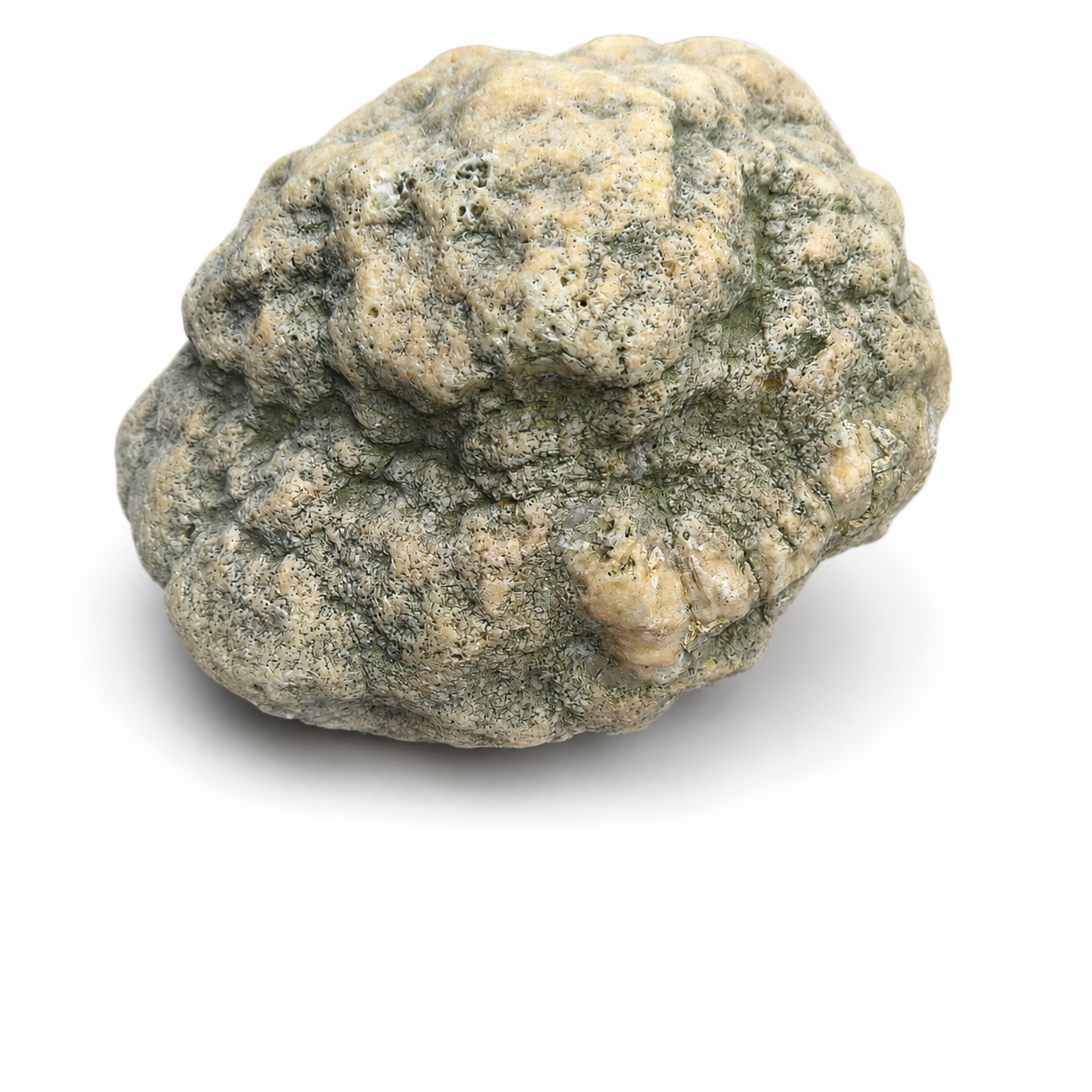 Kentucky Geode, Unopened Natural Quartz Crystal, Crack Your Own, 11.71 lb – Fishing Creek, KY