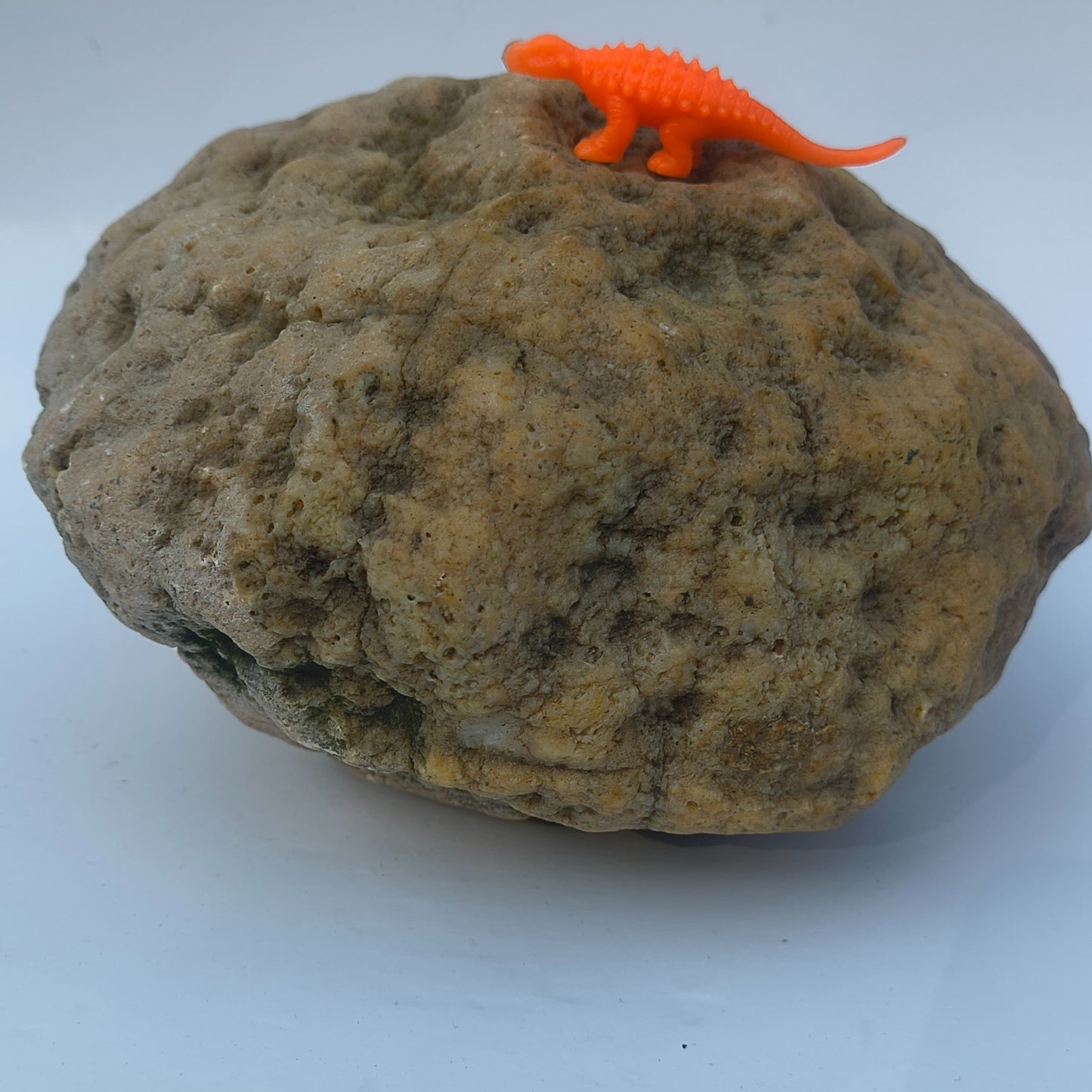 9.25 lb Unopened Large Geode Nodule, Natural Kentucky Crystal Quartz, Uncut – Fishing Creek, KY