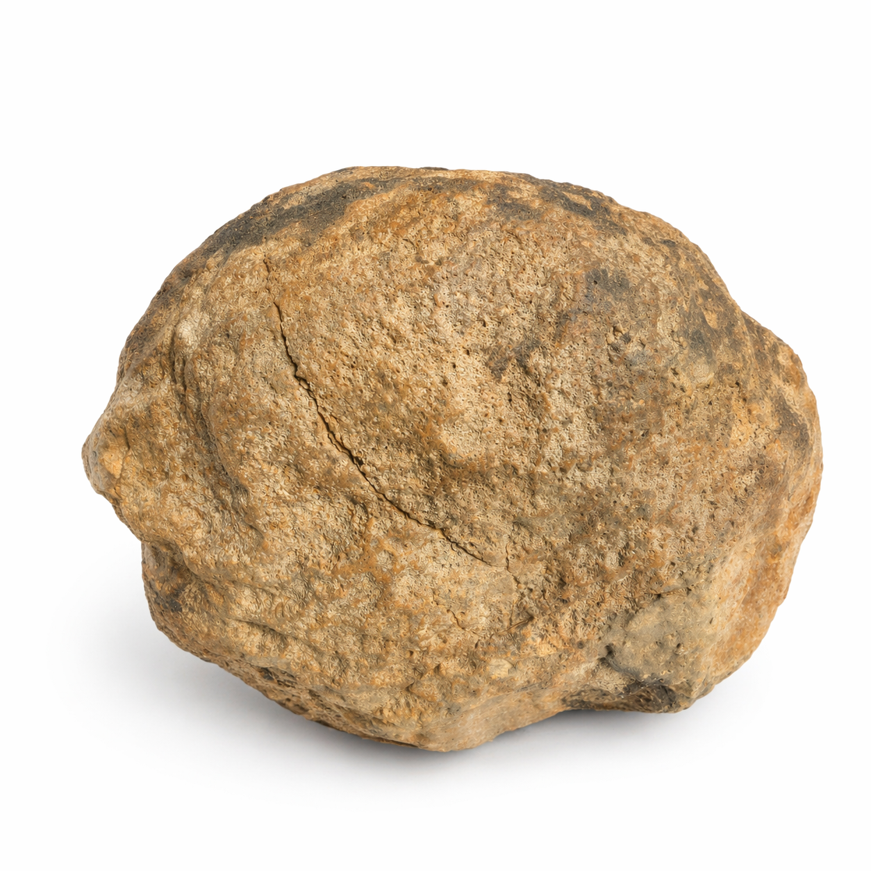 9.12 lb Unopened Kentucky Geode, Break Your Own, Hand Picked KY Lincoln Co – Fishing Creek, KY