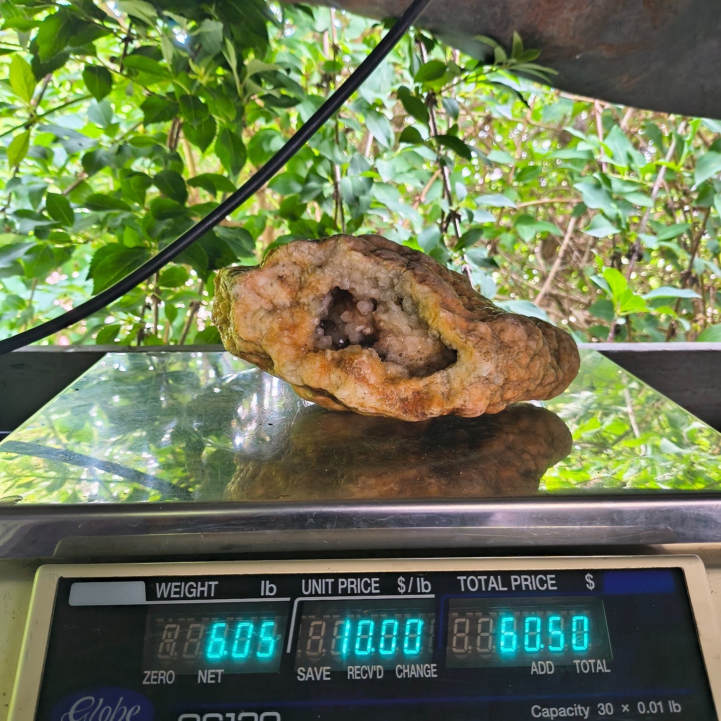 Open Face Kentucky Geode 6.16 lb Druzy Crystal Cavity