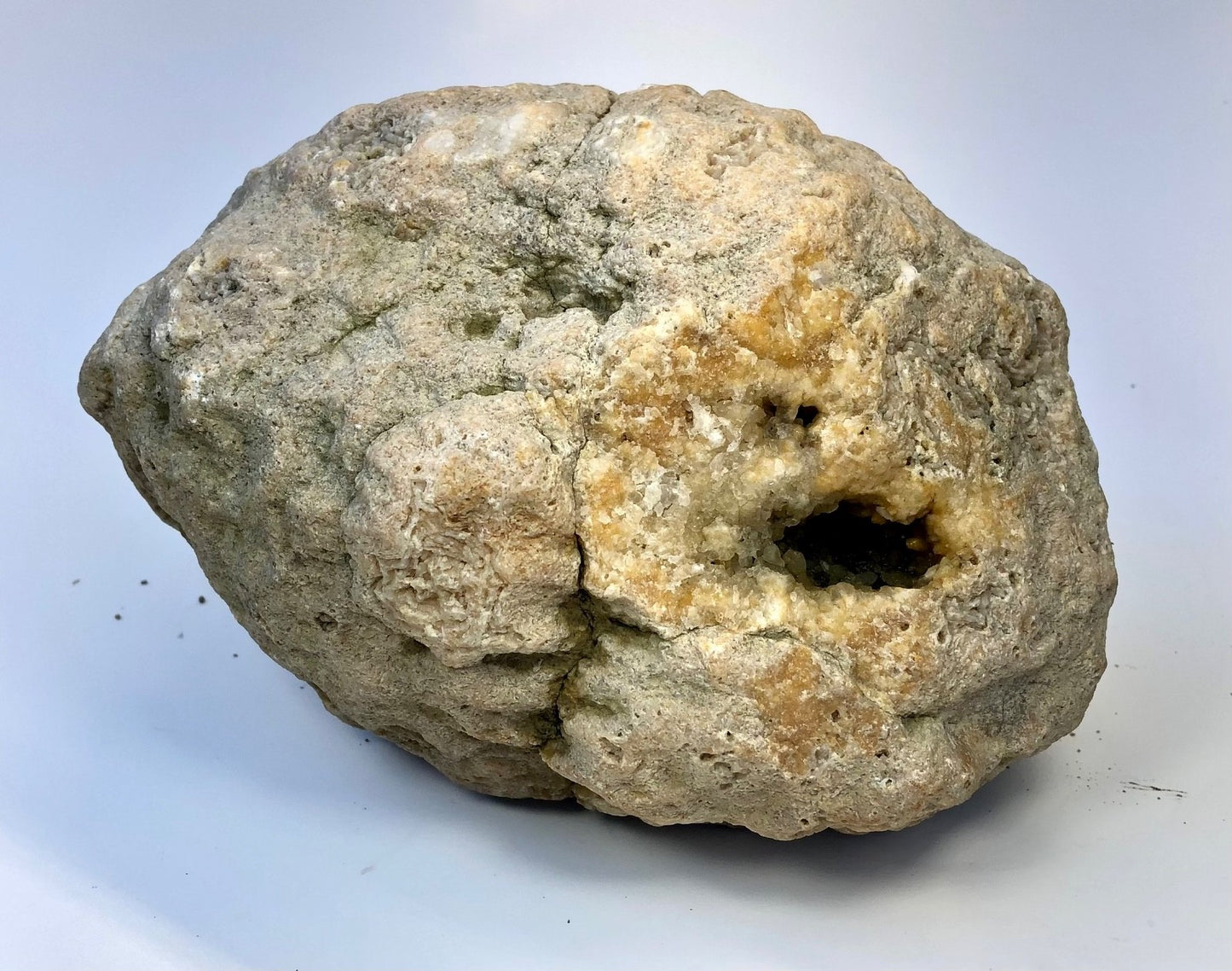 7.04 lb Natural Kentucky Geode, Whole Crystal Lined Open Pocket Display Specimen – Fishing Creek, KY