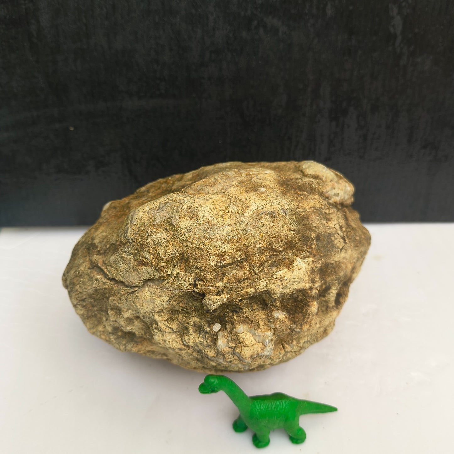 4.44 lb Kentucky Geode, Unopened Exact Specimen, Natural Whole Geode – Fishing Creek, KY