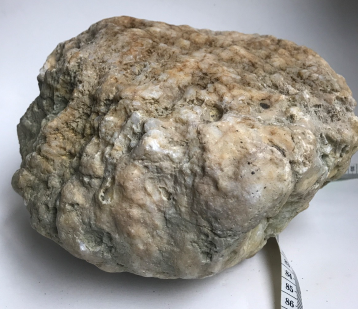20 lb Kentucky Geode, Exact Unopened Natural Quartz Crystal, Crack Your Own – Fishing Creek, KY