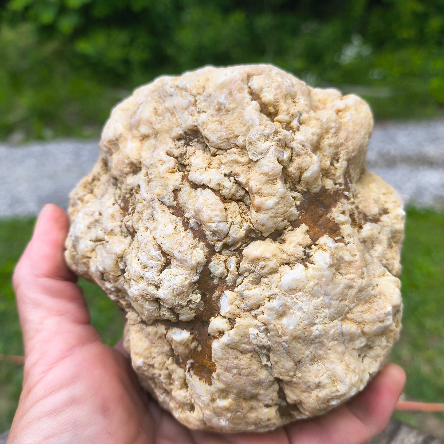 3.67 lb Natural Kentucky Geode, Unopened Whole Exact Specimen, 14 Inch Circ, Bonus – Fishing Creek, KY