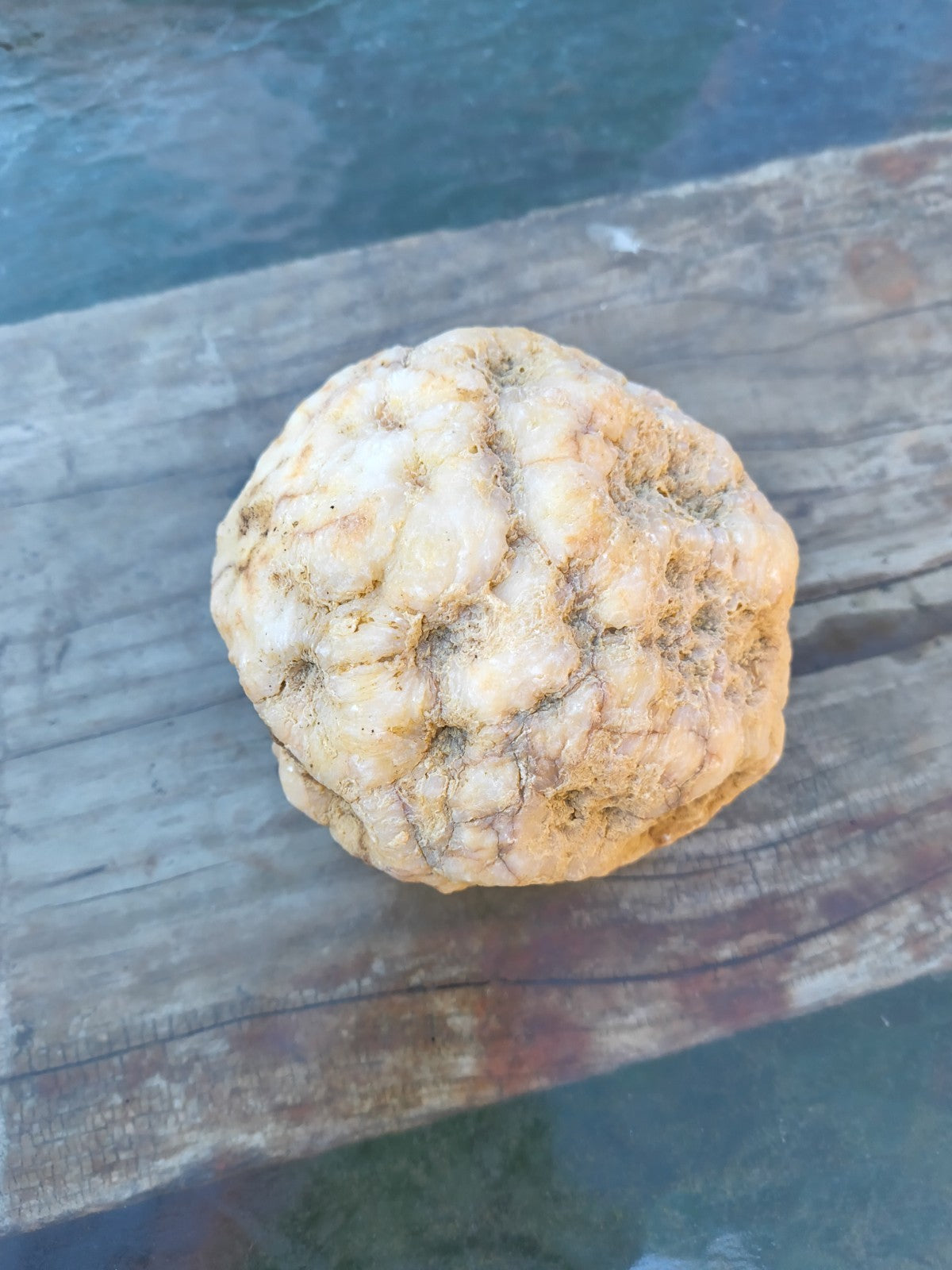 Exact 3.6 lb Unopened Quartz Geode, Natural Kentucky Geode, Display Specimen – Fishing Creek, KY