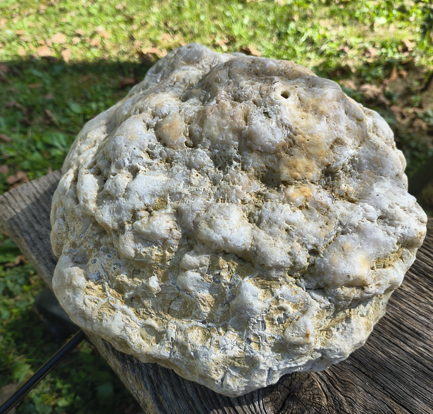 Exact Kentucky Geode, 23.6lb Natural Quartz Crystal Specimen – Fishing Creek, KY