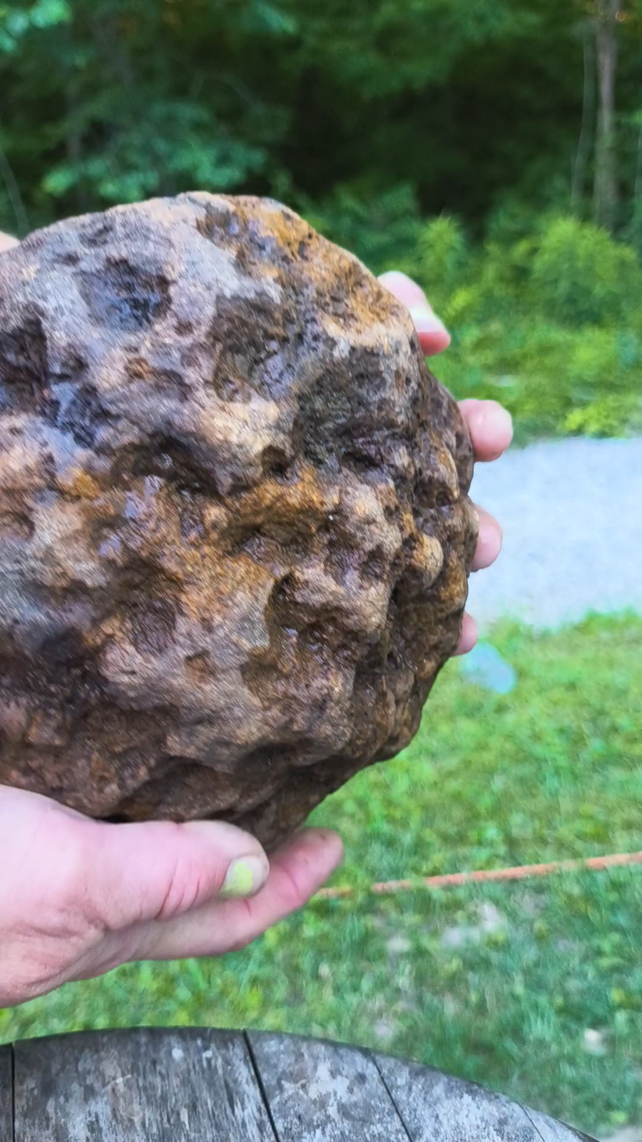10.07 lb Kentucky Geode, Unopened, Natural Crystal Geode + Bonus – Hand-Collected at Fishing Creek, KY