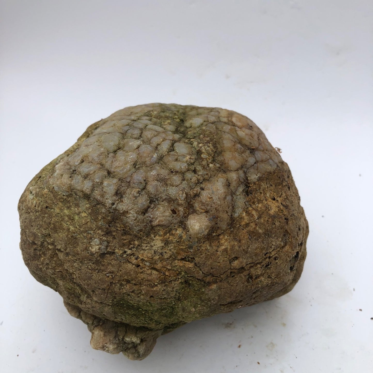 4 lb Unopened Kentucky Geode Rattler, Break Your Own, Hand Picked Natural Quartz – Fishing Creek, KY