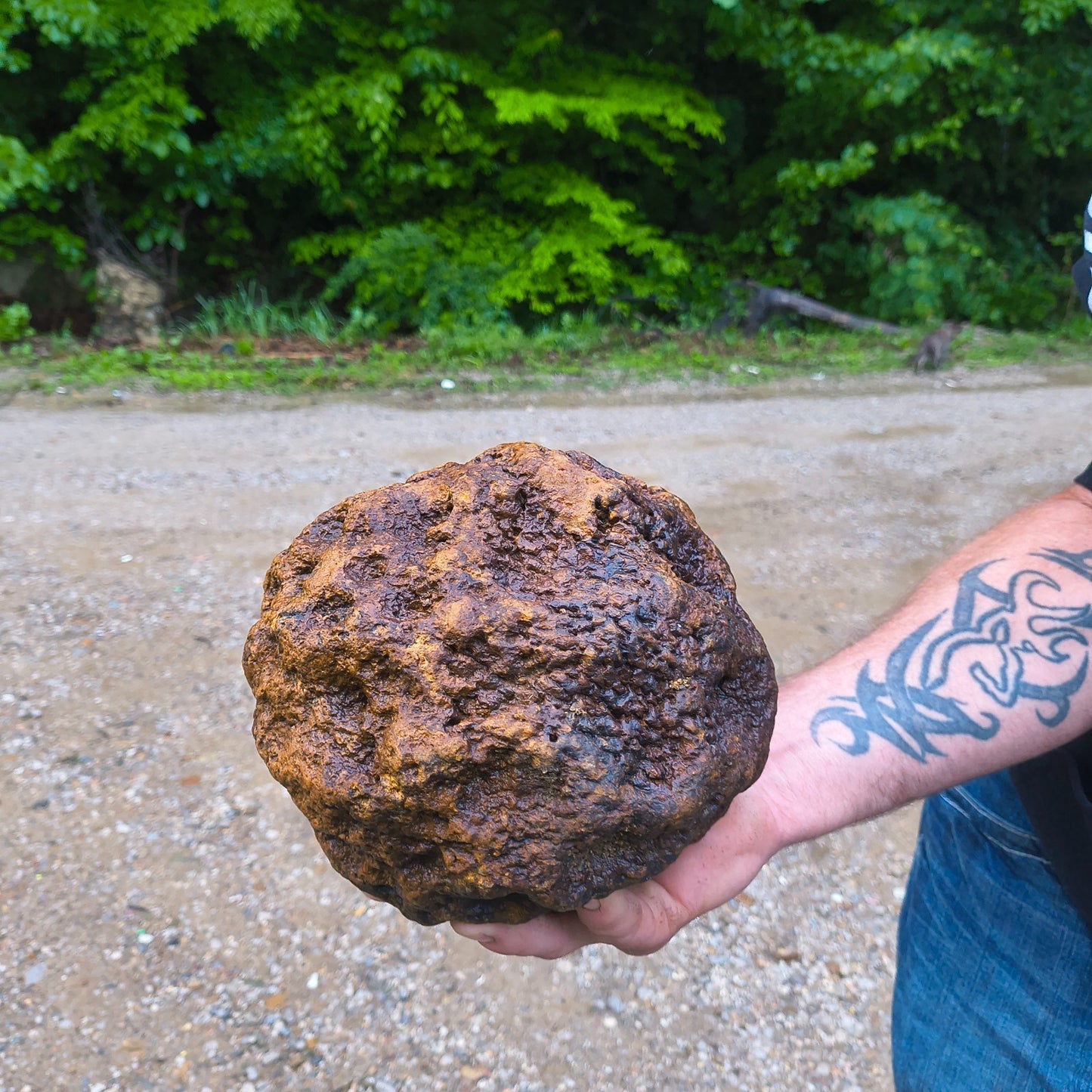 HUGE 16.67 lb Kentucky Geode, 24 Inch Circumference, Uncracked Potential Hollow Rock – Hand-Collected at Fishing Creek, KY