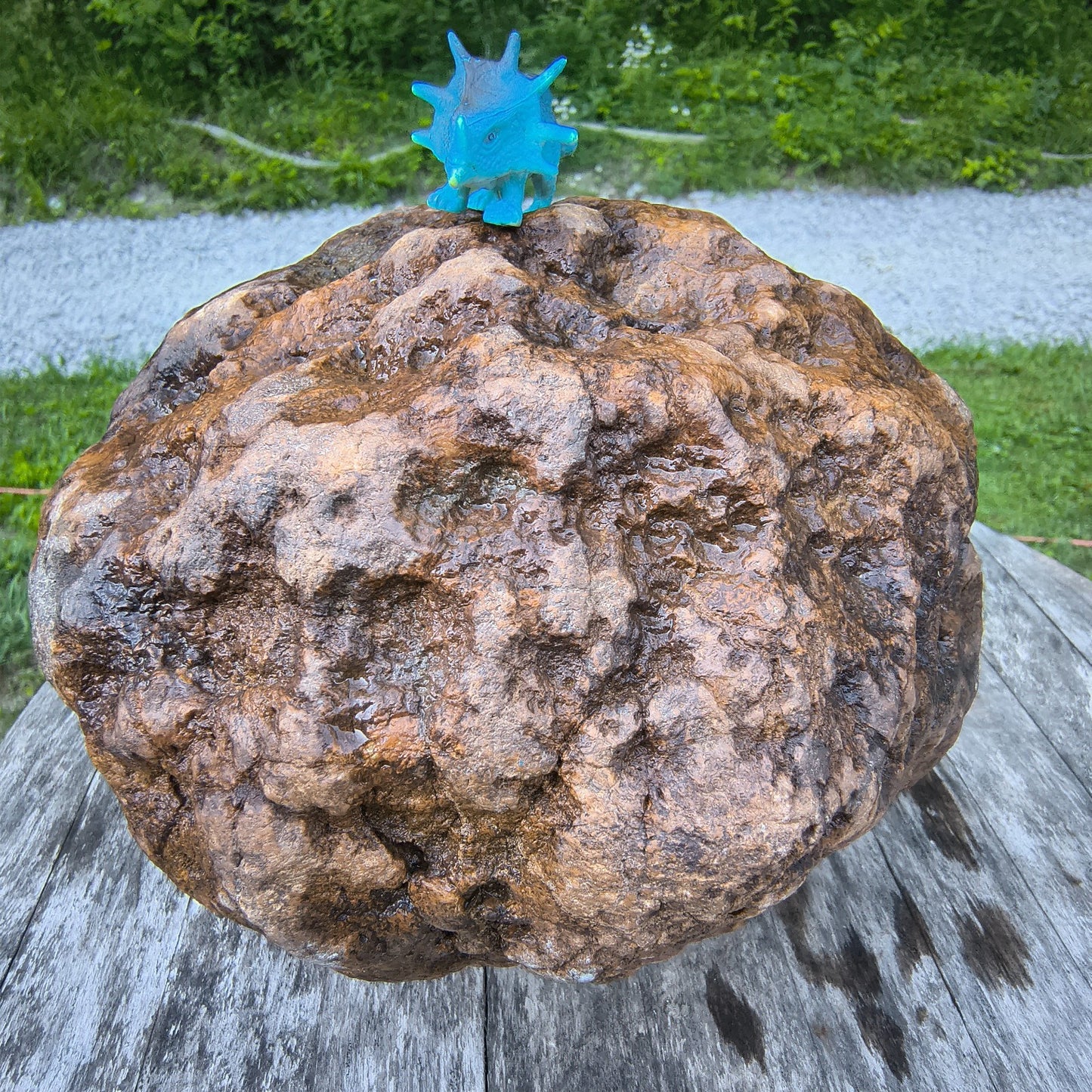 10.07 lb Kentucky Geode, Unopened, Natural Crystal Geode + Bonus – Hand-Collected at Fishing Creek, KY