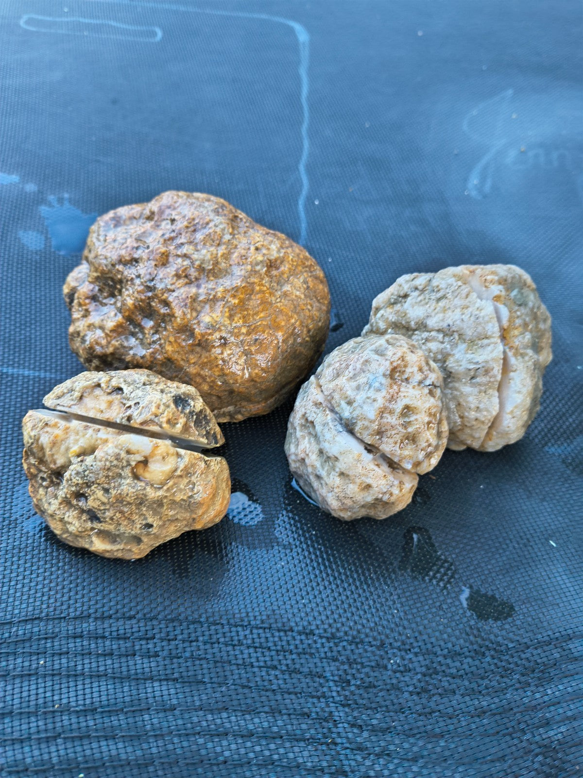 3 lb 4.5 oz Natural Kentucky Crystal Lined, Open Druzy Quartz Display – Fishing Creek, KY
