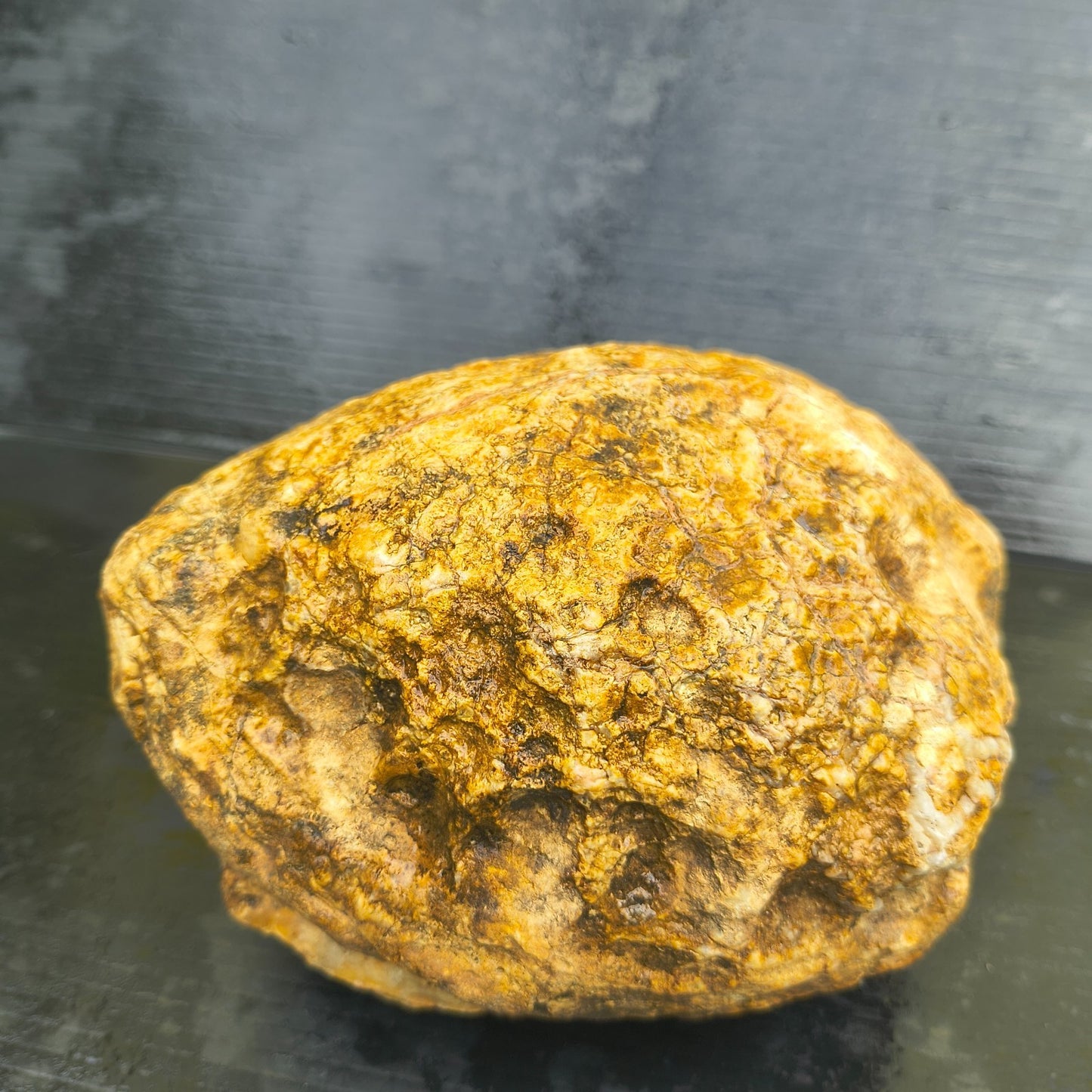 4.44 lb Kentucky Geode, Unopened Exact Specimen, Natural Whole Geode – Fishing Creek, KY