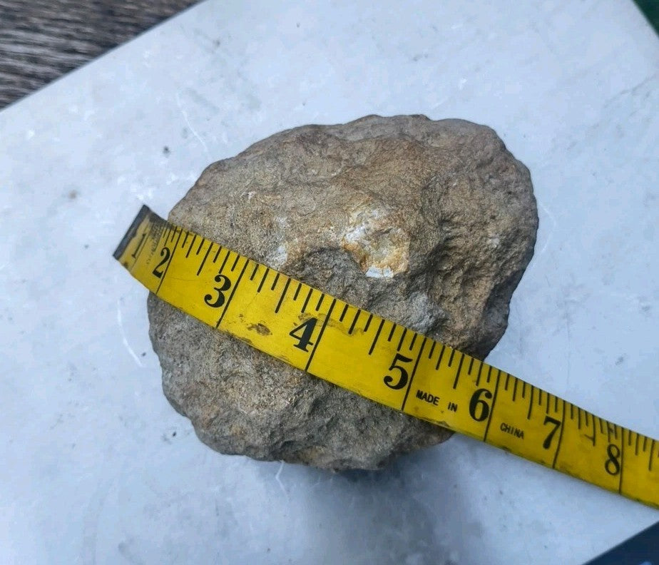 2+ lb Large Unopened Kentucky Geode, 3-5 Inch, Break Your Own Quartz Crystal – Fishing Creek, KY