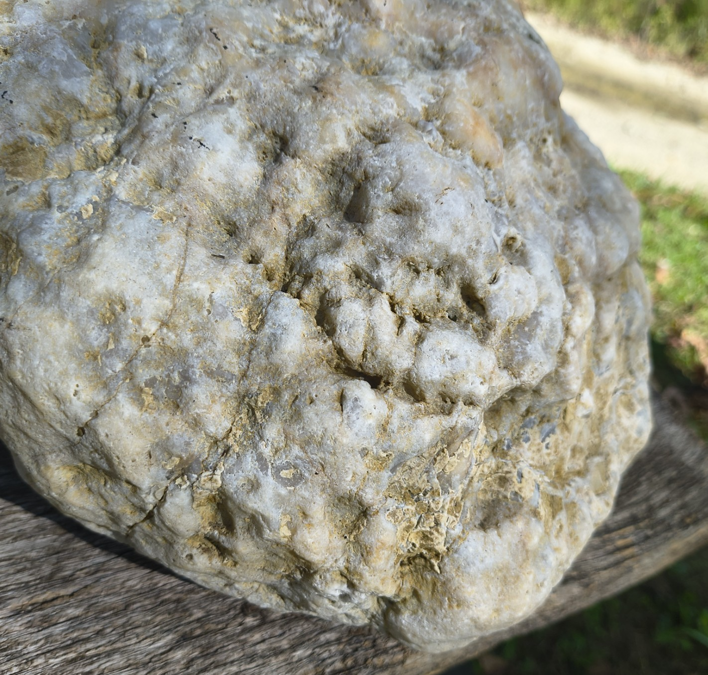Exact Kentucky Geode, 23.6lb Natural Quartz Crystal Specimen – Fishing Creek, KY