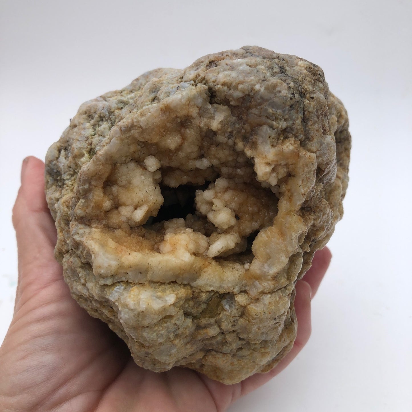 2.5 lb Kentucky Geode Rattler, Whole Natural Crystal Specimen, 5 Inch – Fishing Creek, KY