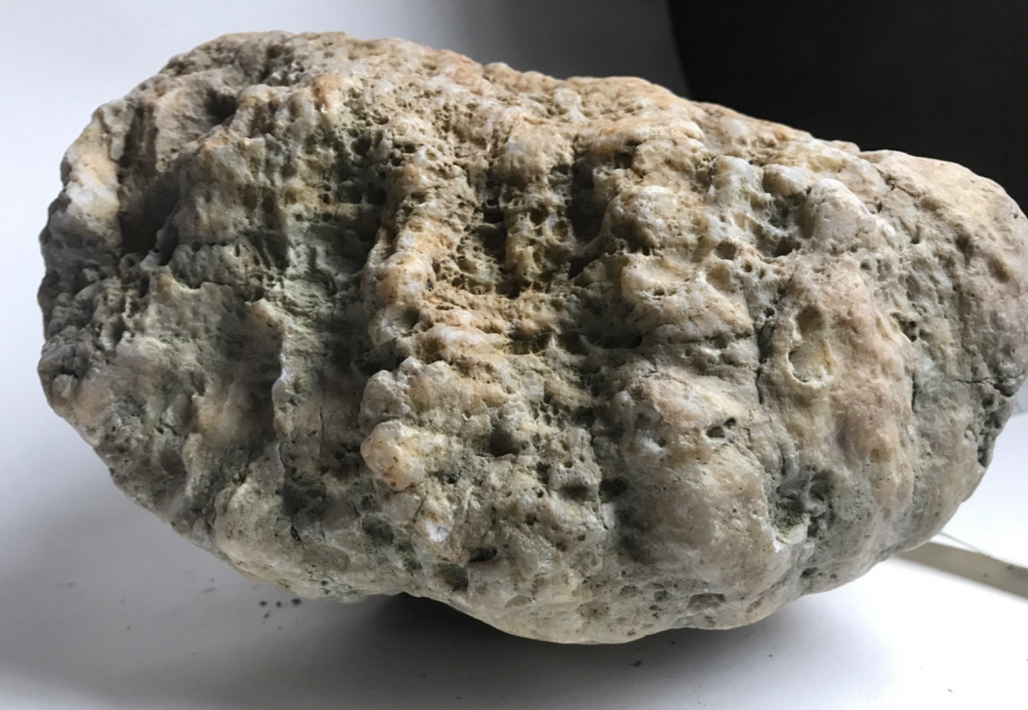 20 lb Kentucky Geode, Exact Unopened Natural Quartz Crystal, Crack Your Own – Fishing Creek, KY