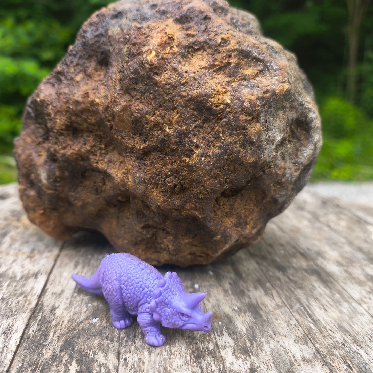 Unopened Kentucky Geode — 5.40 lb, 16" Circ, Bonus Mineral ID Card Included