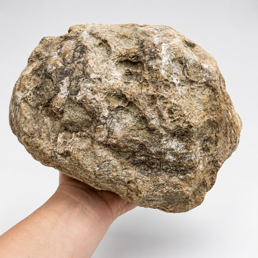 Large Kentucky Geode, 11.20 lb Unopened Natural Crystal Geode, Exact 9 Inch Specimen – Fishing Creek, KY