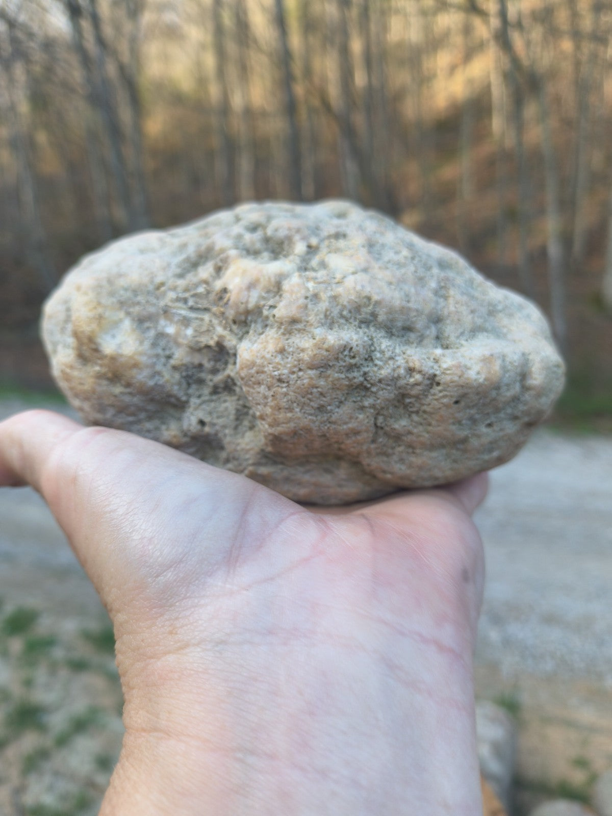 Exact Kentucky Rattler Geode, 4.09 lb Natural Unopened Crystal Geode – Fishing Creek, KY