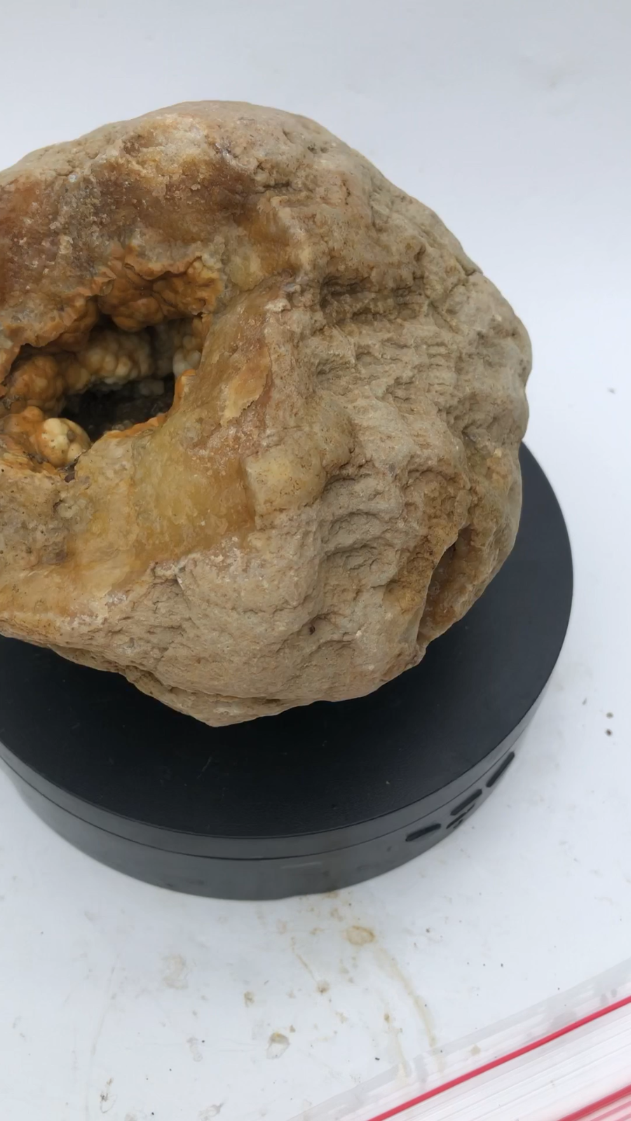 3.68 lb Open Face Kentucky Geode, Chalcedony Botryoidal Quartz, Exact Specimen – Fishing Creek, KY