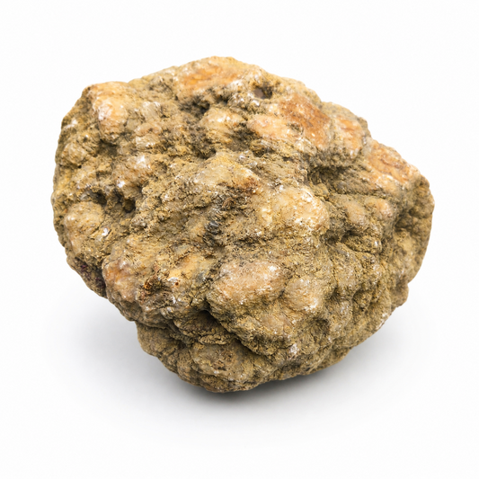 Kentucky Geode, 6.01 lb Whole Unopened Natural Quartz Crystal Rock, 6 Inch – Fishing Creek, KY