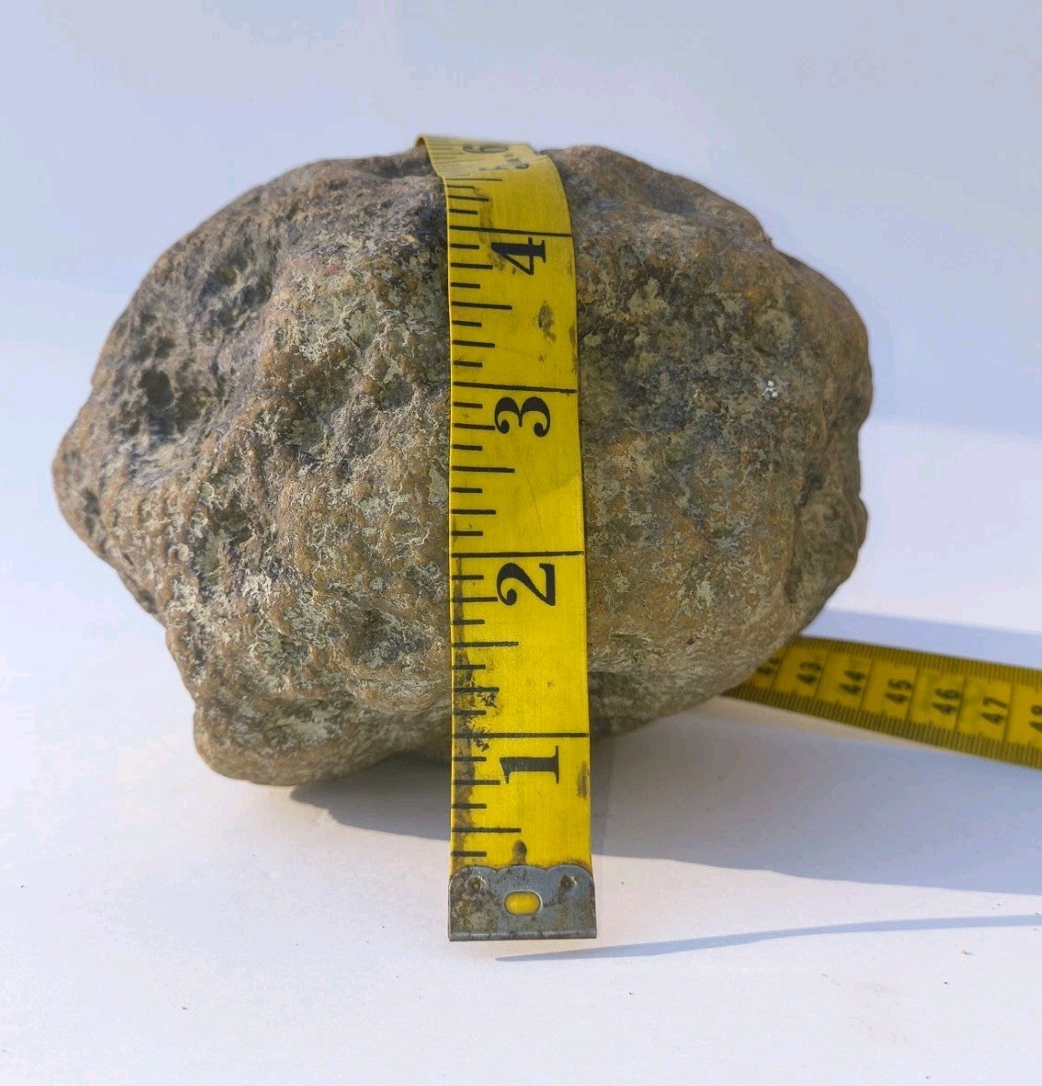 8 lb Whole Unopened Kentucky Geode, Raw Uncut, Break Your Own Crystal Specimen – Fishing Creek, KY