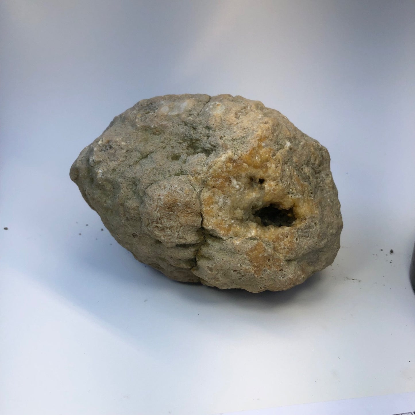 7.04 lb Natural Kentucky Geode, Whole Crystal Lined Open Pocket Display Specimen – Fishing Creek, KY