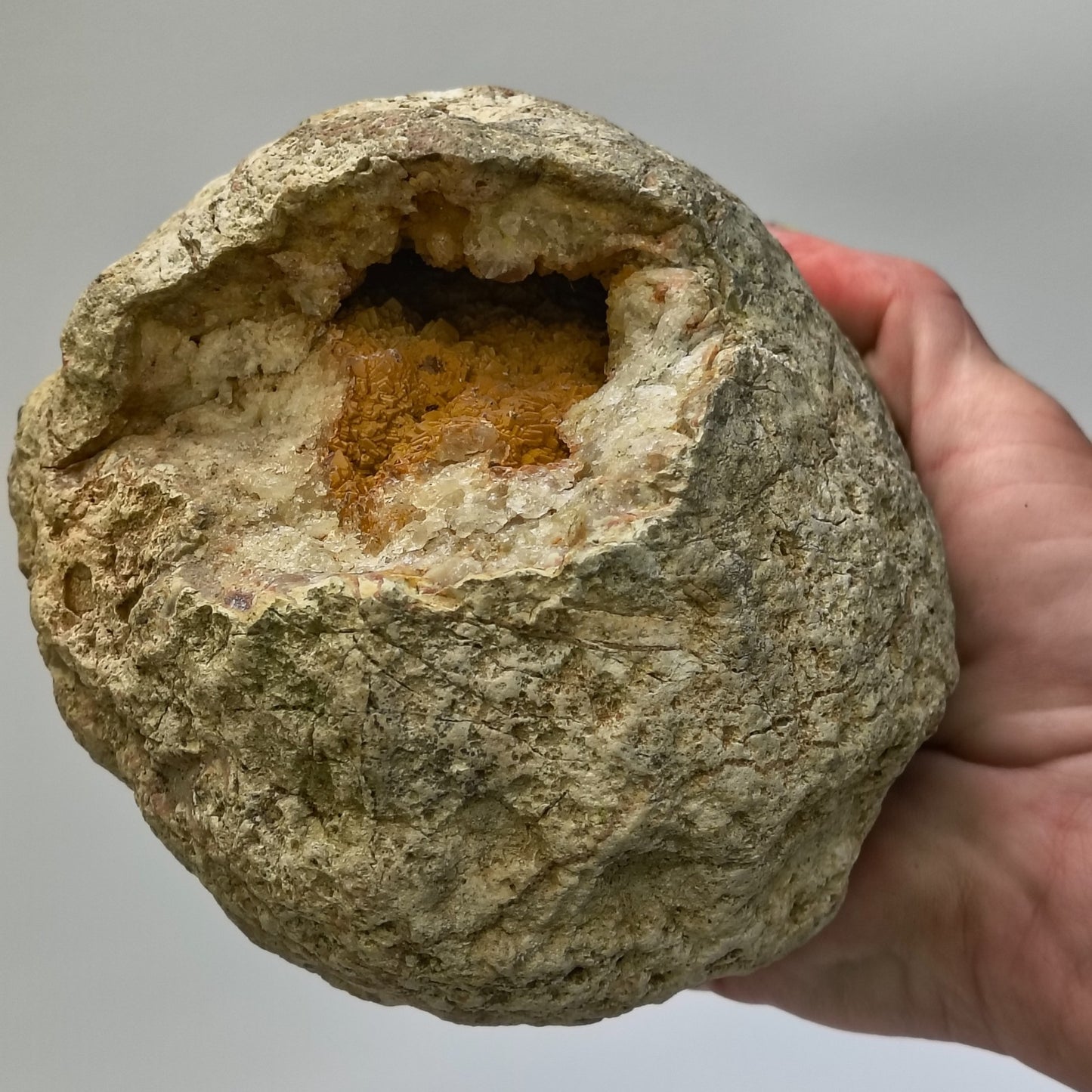 Kentucky Geode Crystal Opening, Natural Rock Specimen, Real Kentucky Geode – Fishing Creek, KY