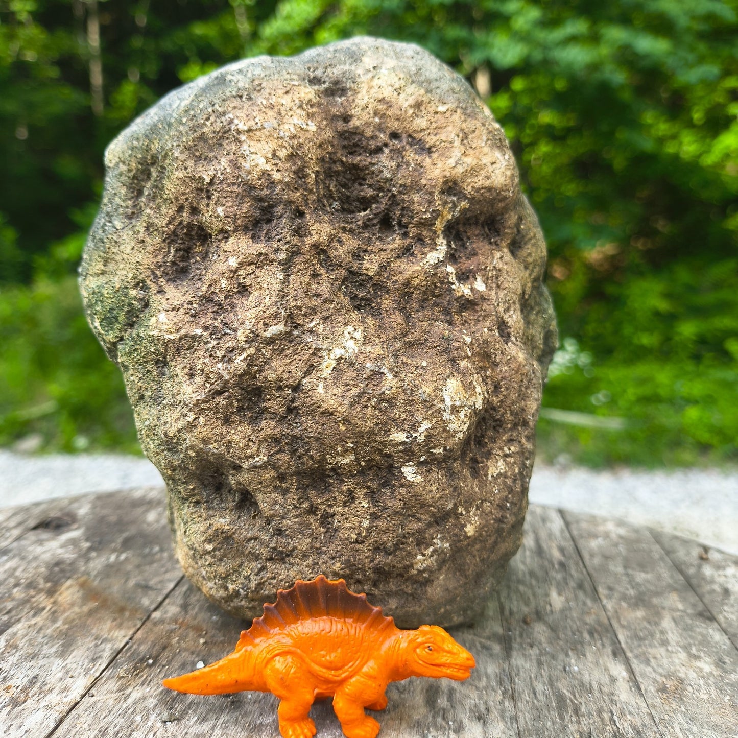 Unopened Kentucky Geode — 5.25 lb, 5.5" Wide Rounded Nodule, Crack Your Own