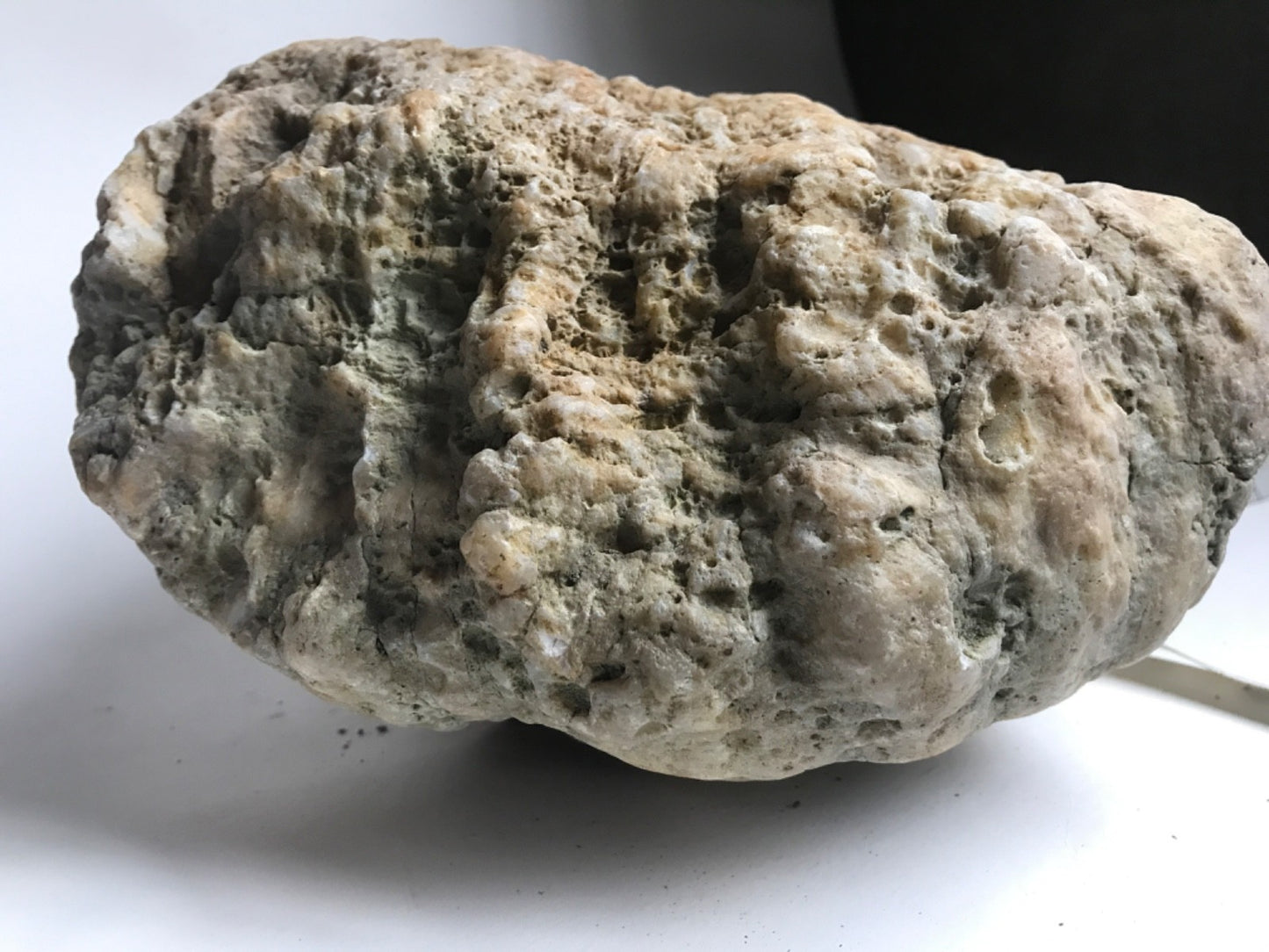 20 lb Kentucky Geode, Exact Unopened Natural Quartz Crystal, Crack Your Own – Fishing Creek, KY