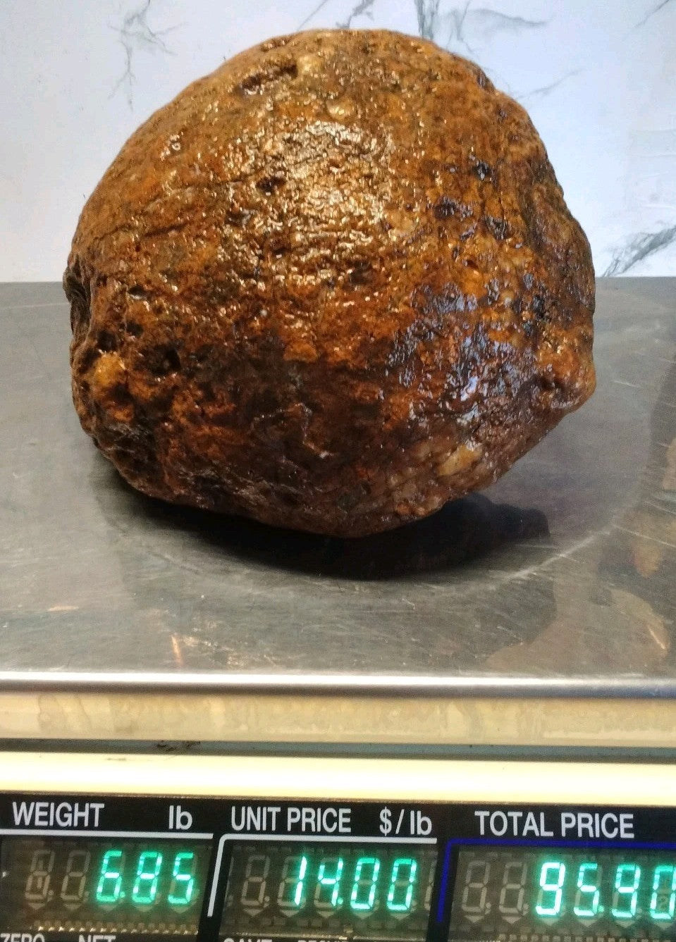 Huge 7 Inch Unopened Kentucky Geode, 6.8lb Natural Quartz Crystal Nodule, Uncut Stone – Fishing Creek, KY
